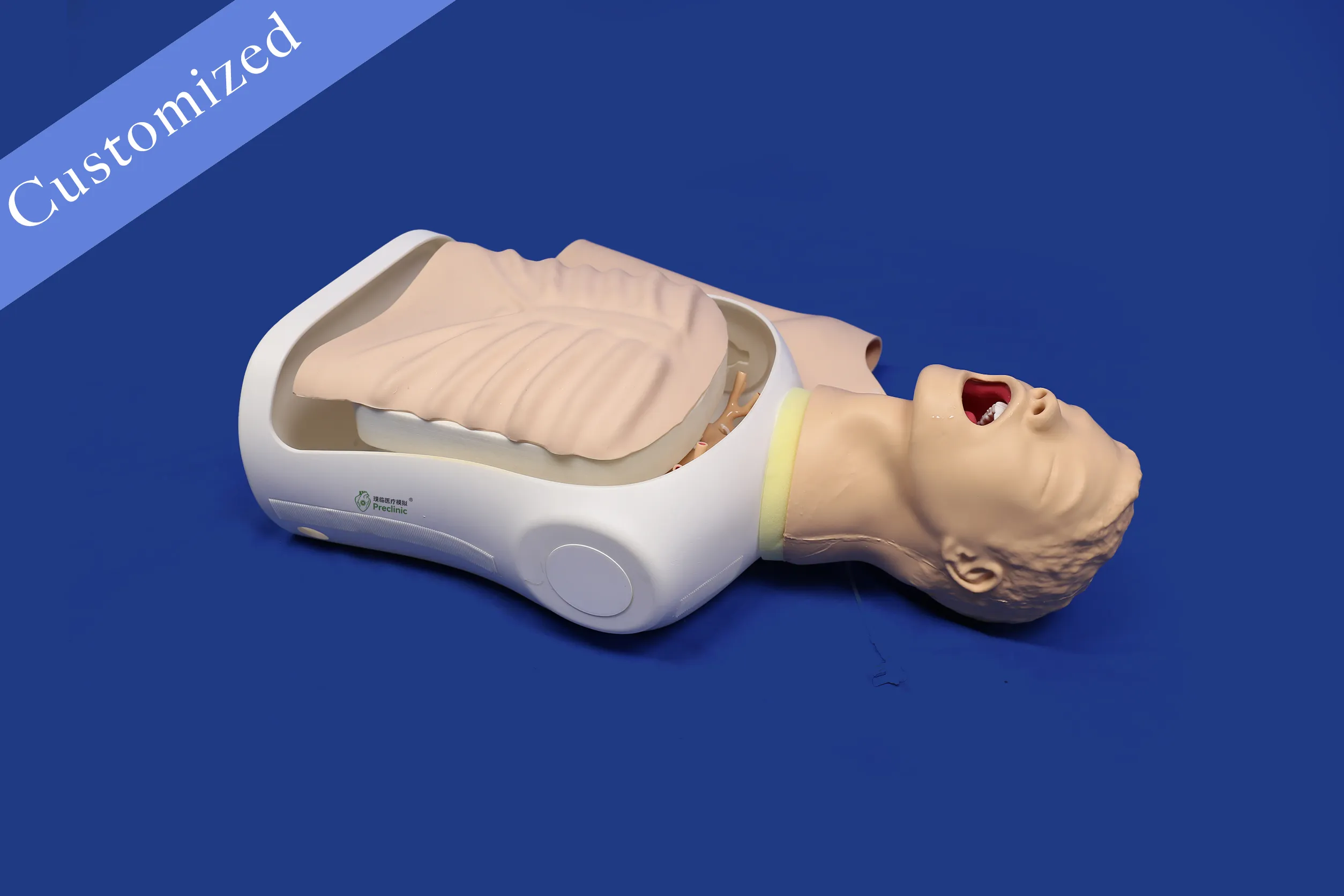 Customized Respiratory Model