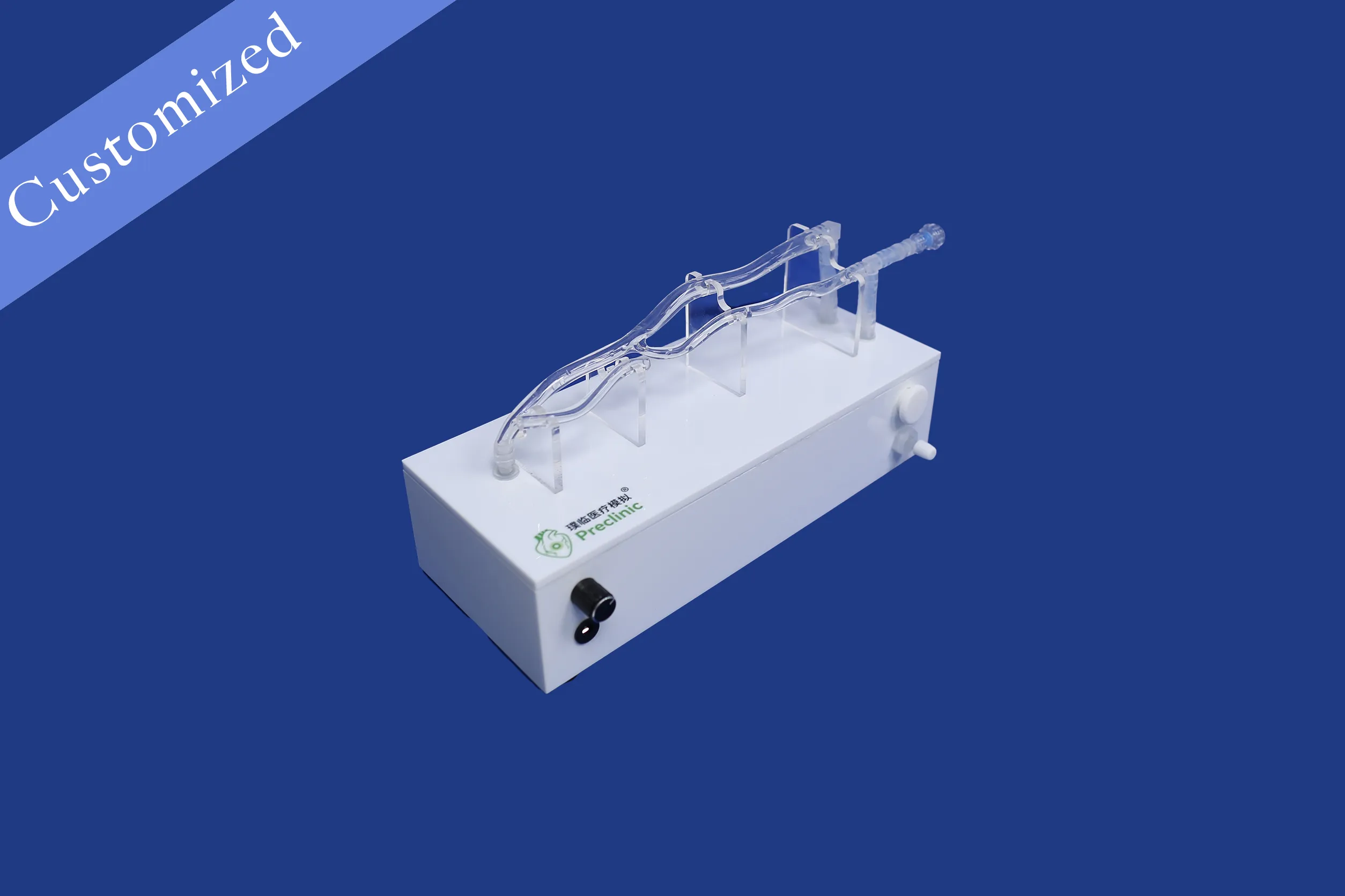 Customized Vascular Model