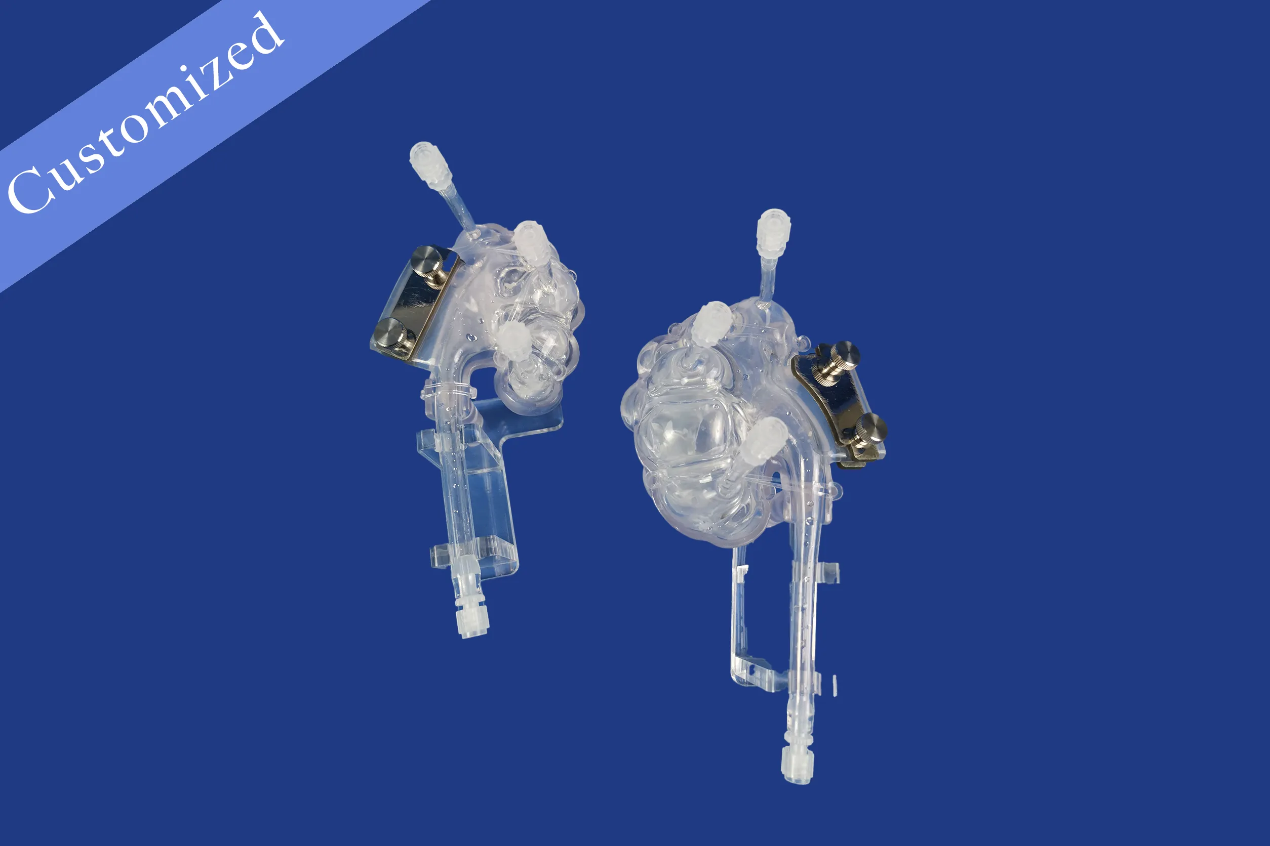 Customized Urology Model