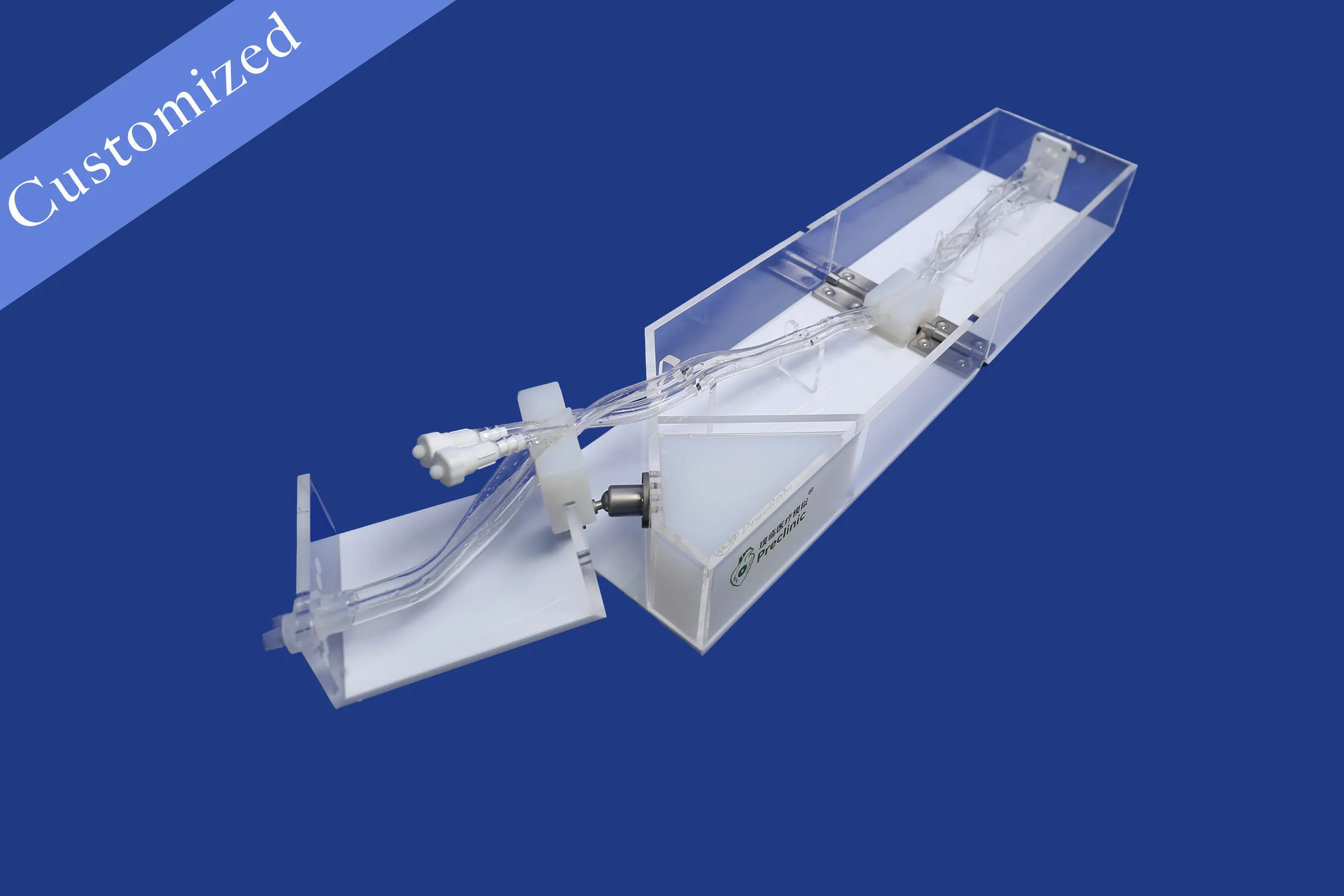 Customized Vascular Model