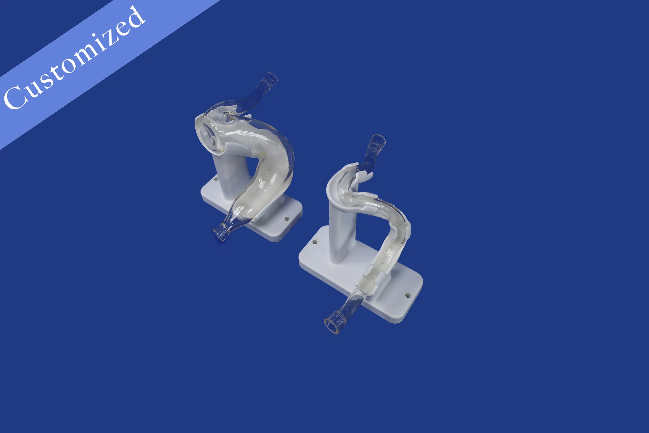 Customized Vascular Model