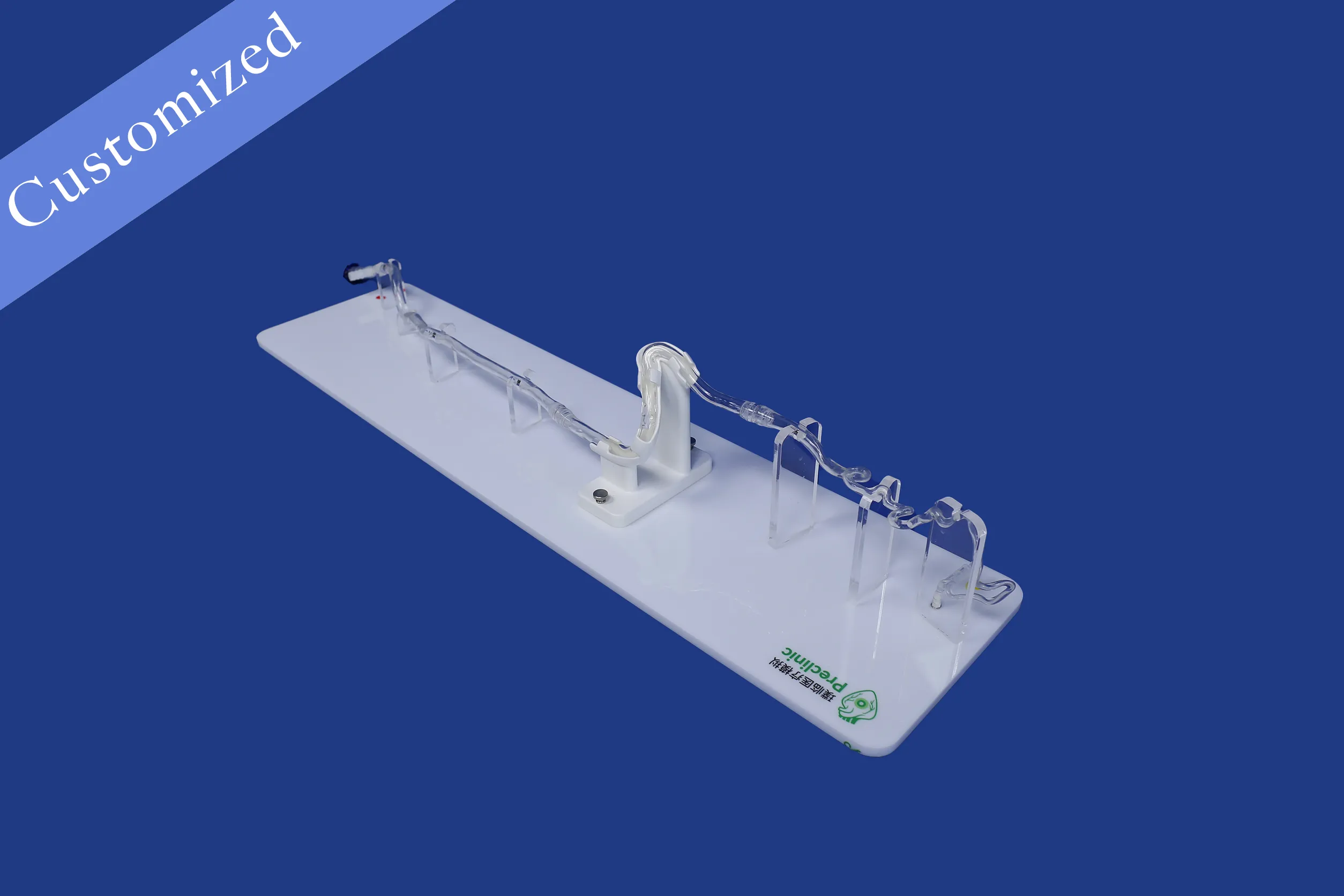 Customized Vascular Model