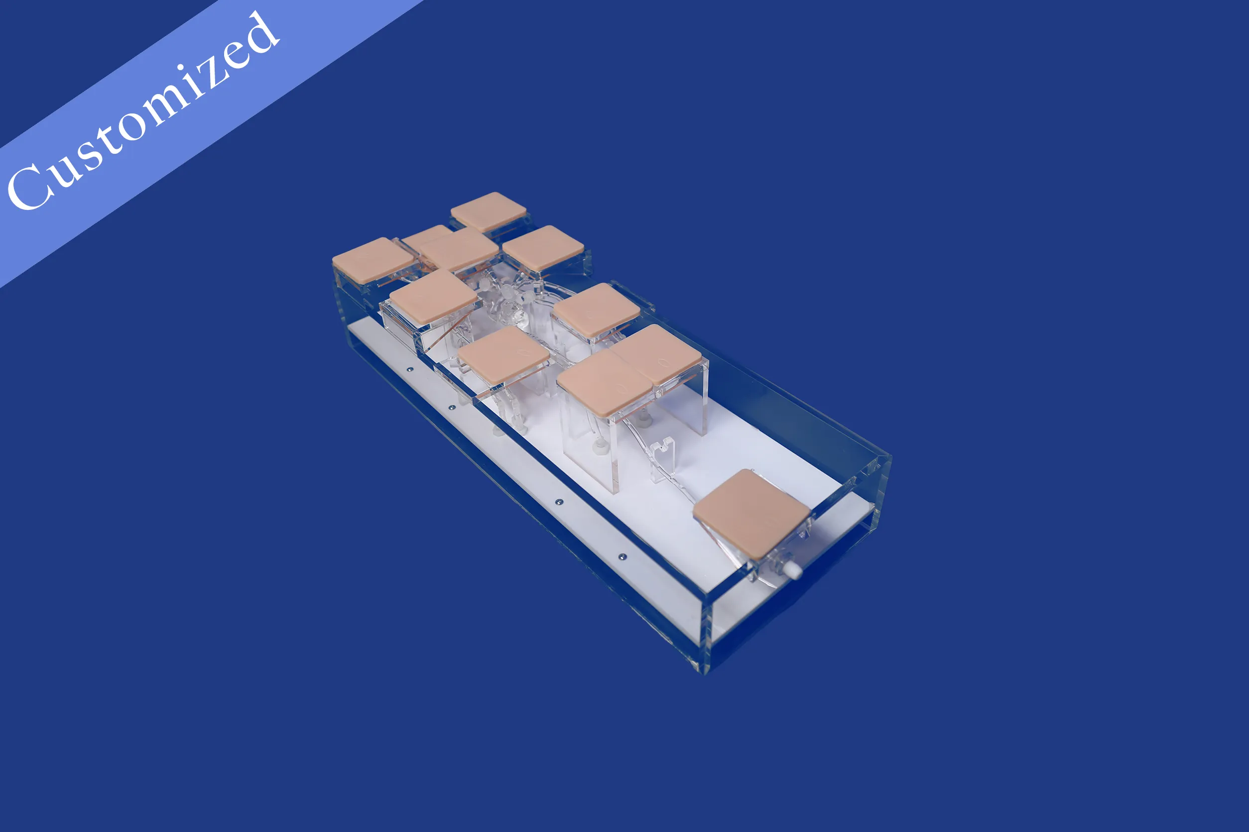 Customized Pediatrics Model
