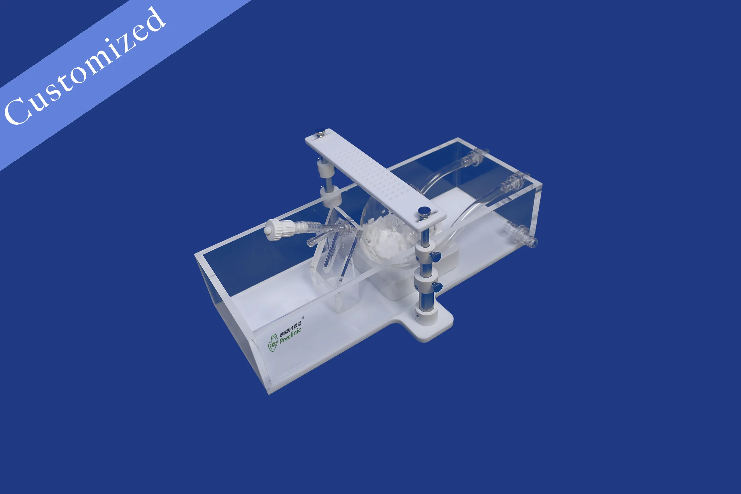 Customized Urology Model