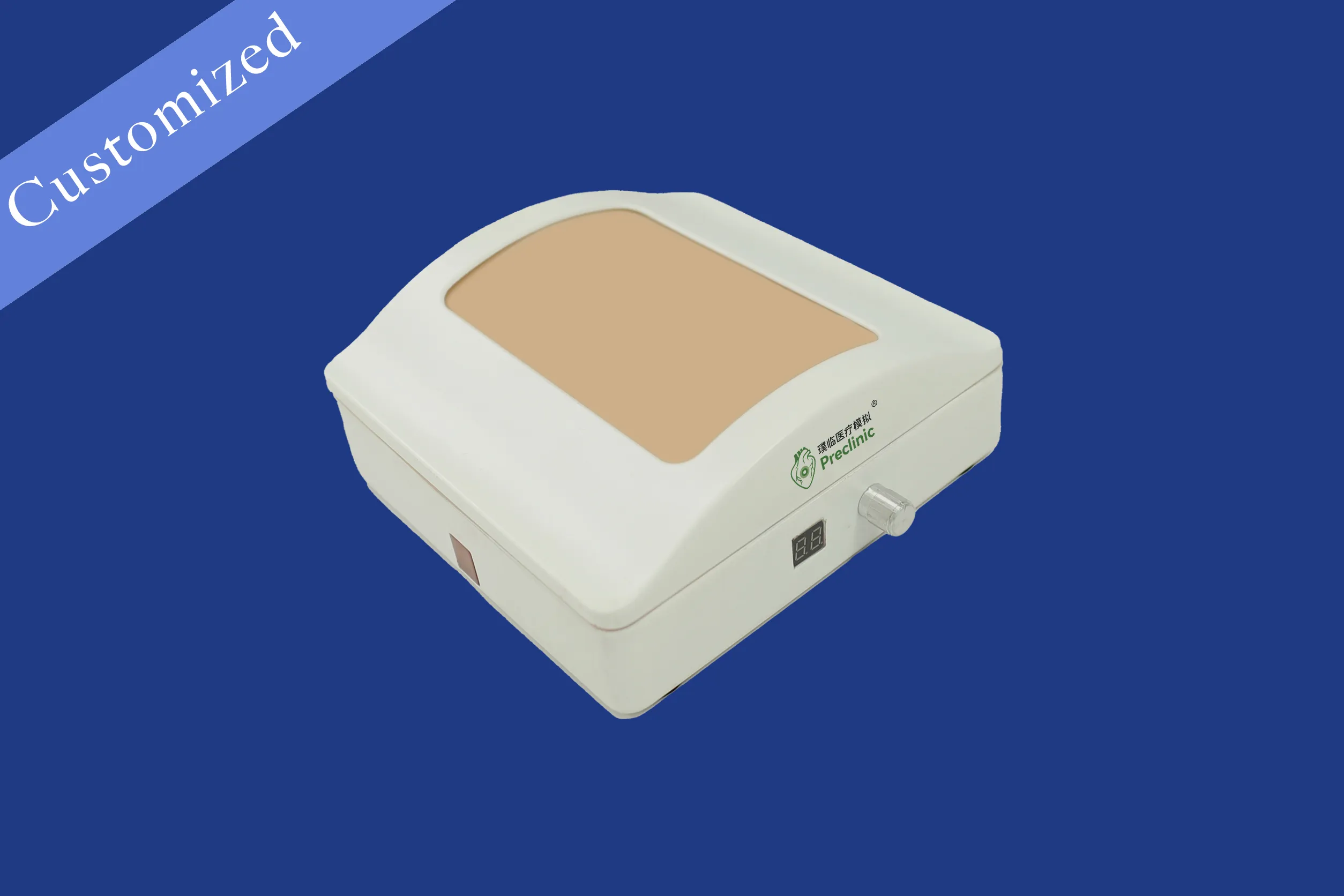 Other Customized Models