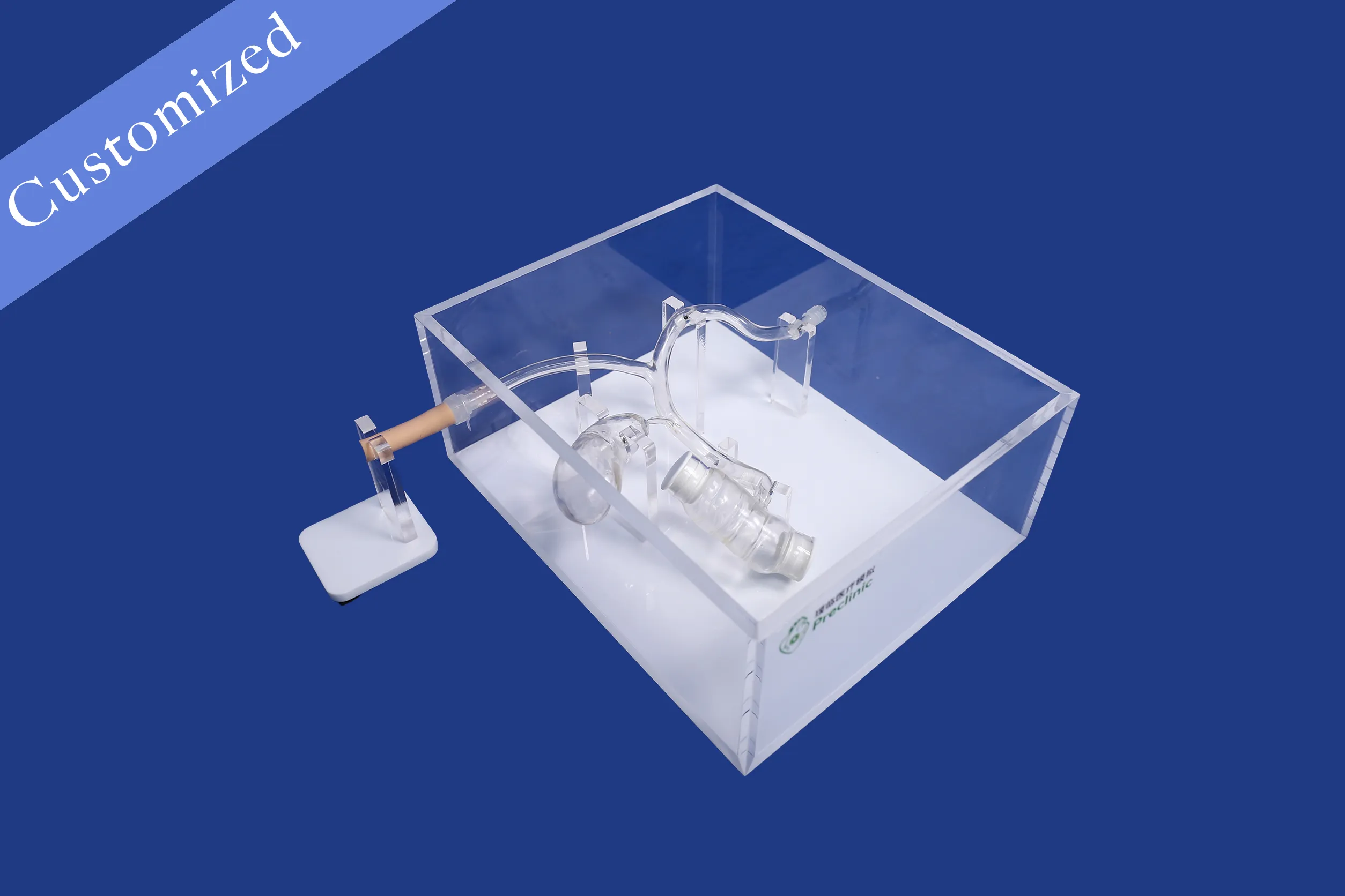 Customized Digestive Model