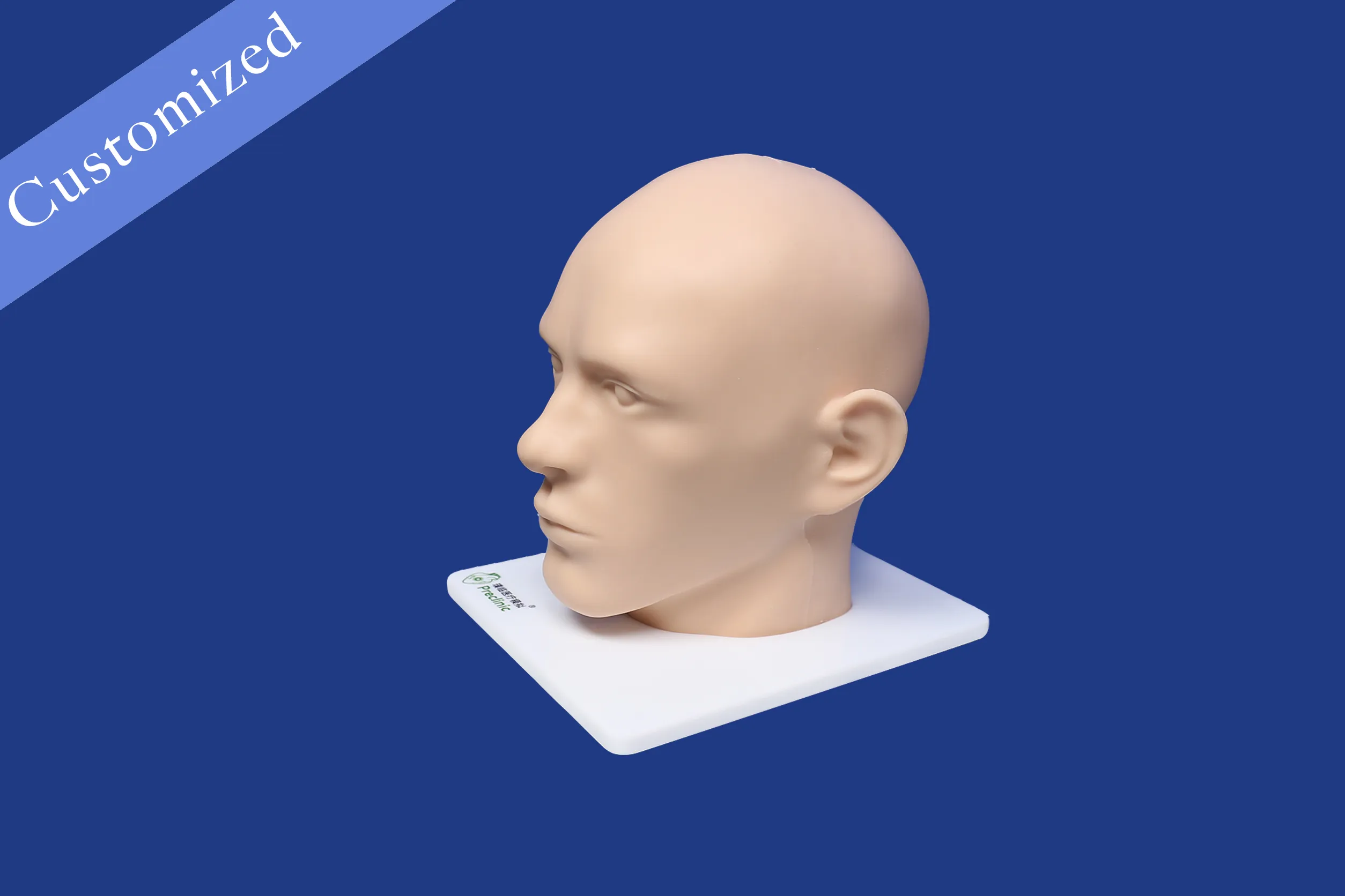 Customized Otorhinolaryngology Model