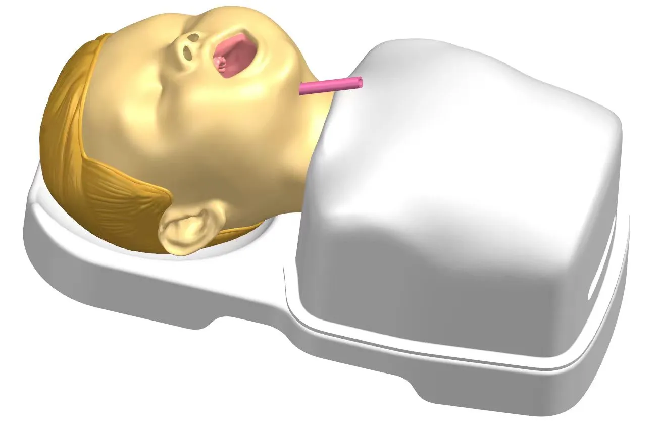 Design drawing of Pediatric Bronchoscope Training Model