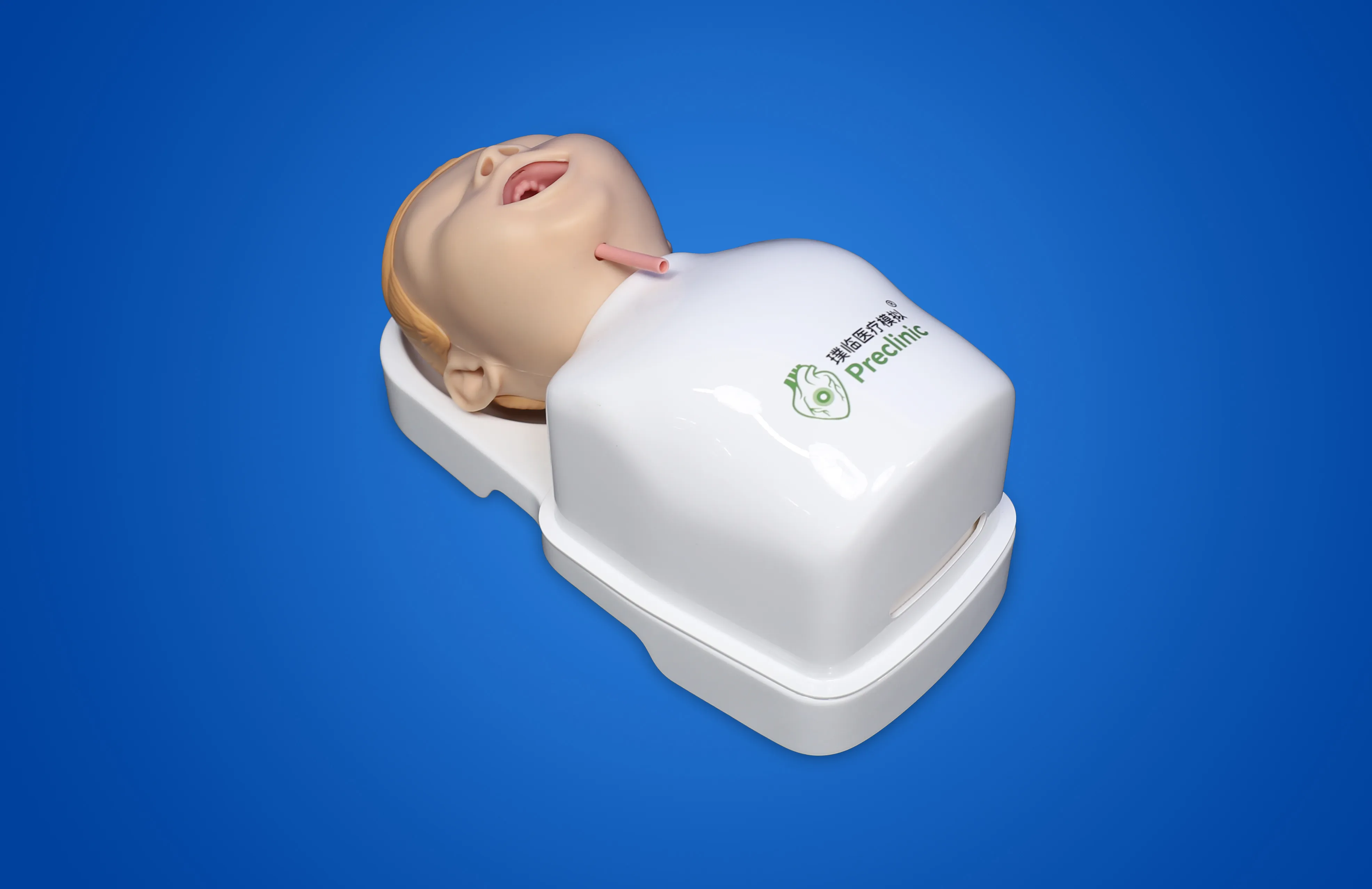 Pediatric Bronchoscope Training Model