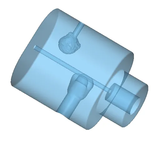 Tumor lesion mass model