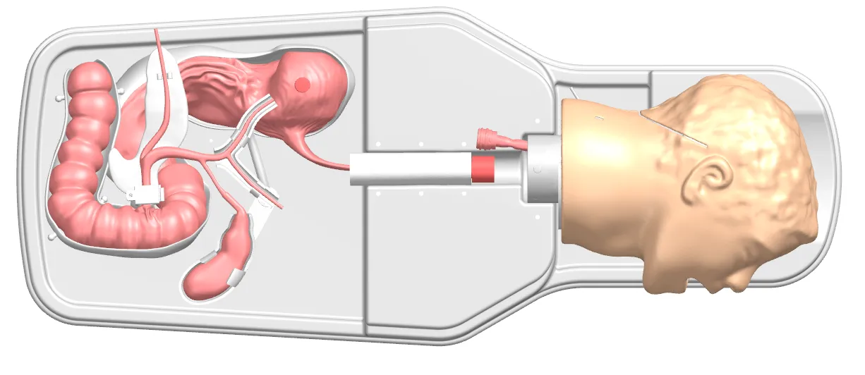 Drawing of ERCP Training Model