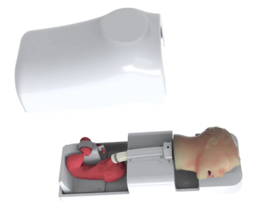 Drawing of Upper Gastrointestinal training model