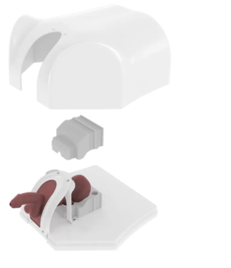 Drawing of Prostate Endoscopy Training Model