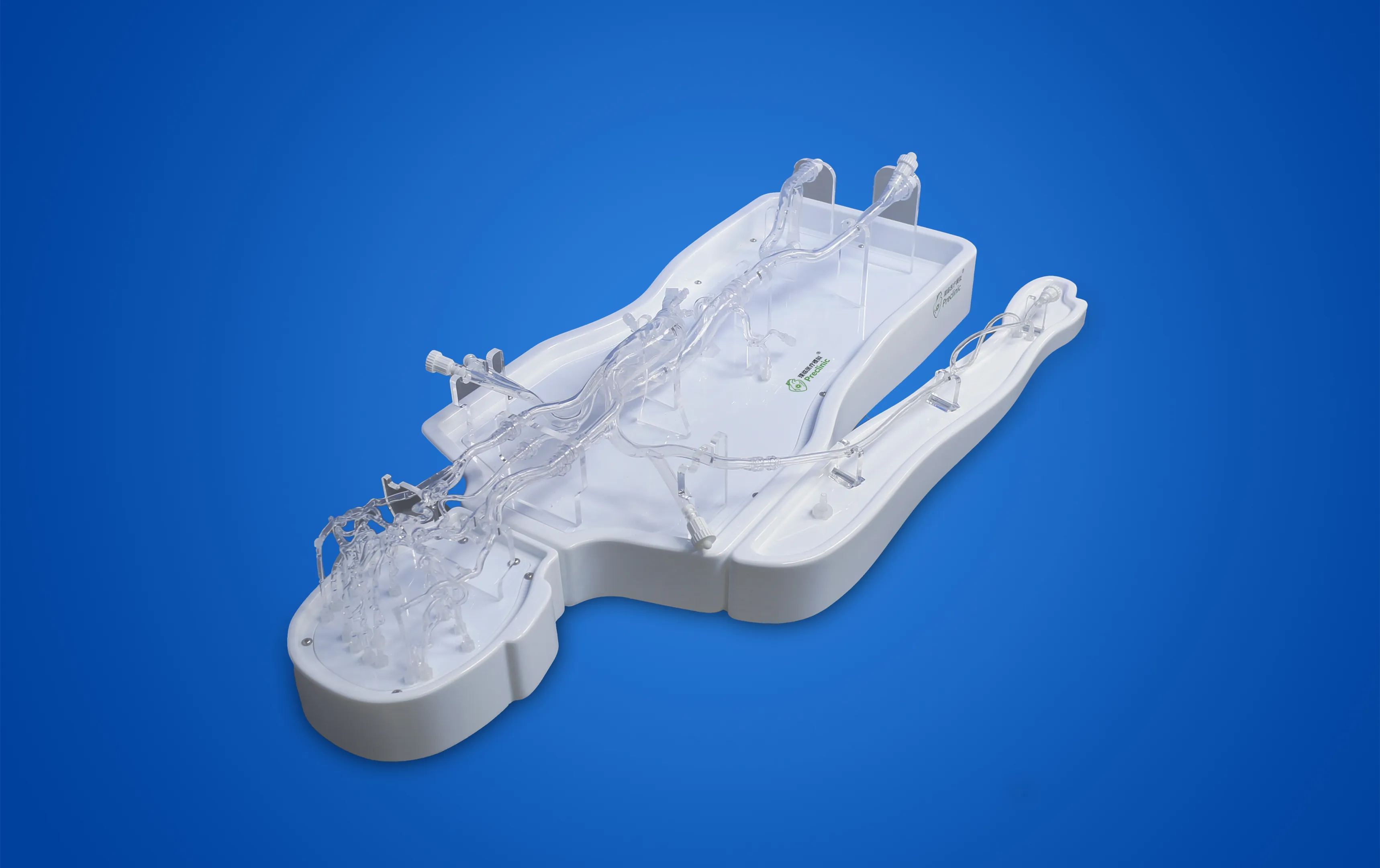Neurovascular Operation Training Model-Type B Manufacturer | Preclinic ...