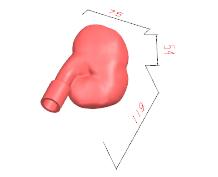 Drawing of Percutaneous Nephrolithotomy Ultrasound Puncture Training model