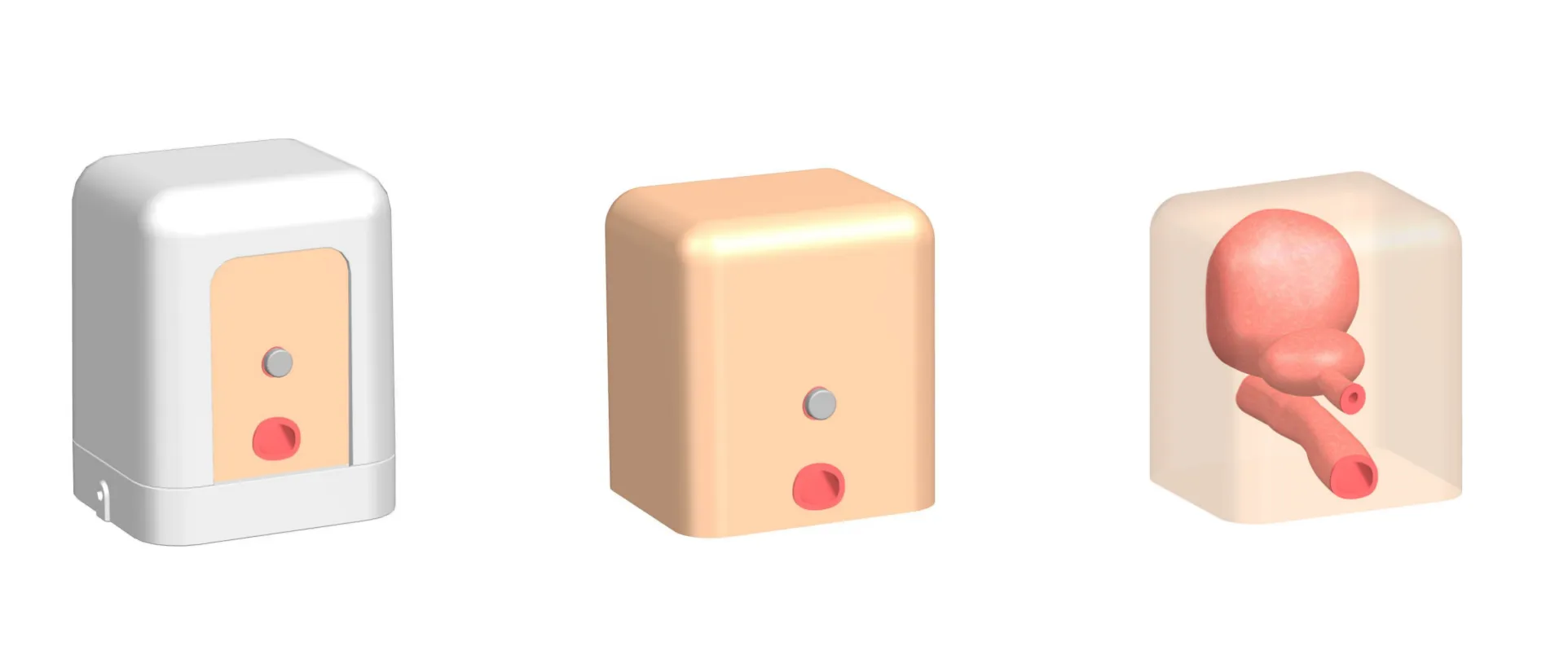 Drawing of Prostate ultrasound training model type A