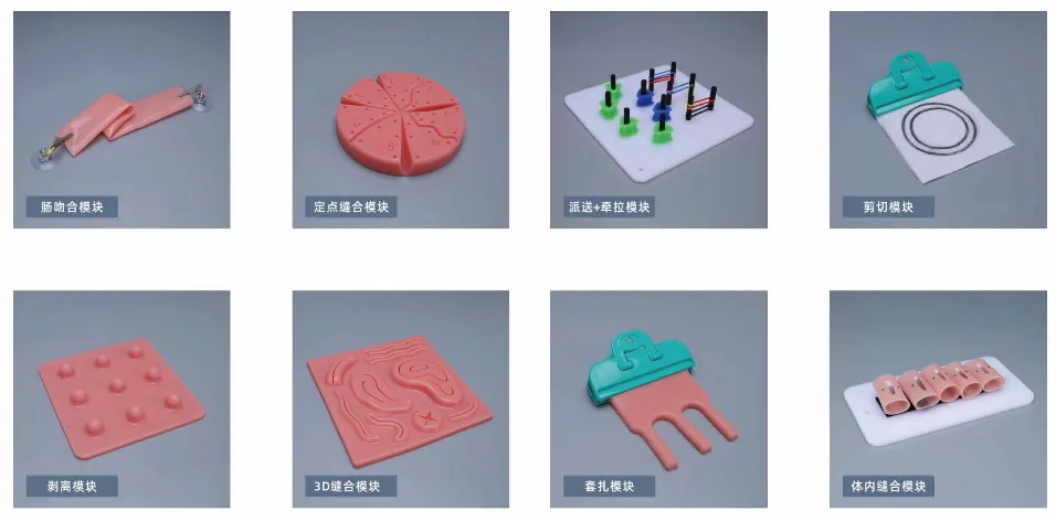 Training module of Laparoscopic Surgery Skill Training Simulator