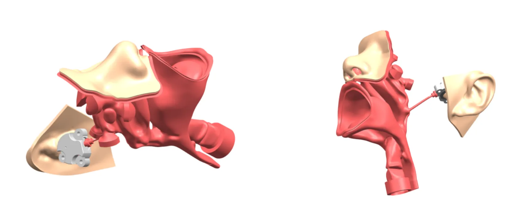 Drawing of ENT Endoscopy Training Model
