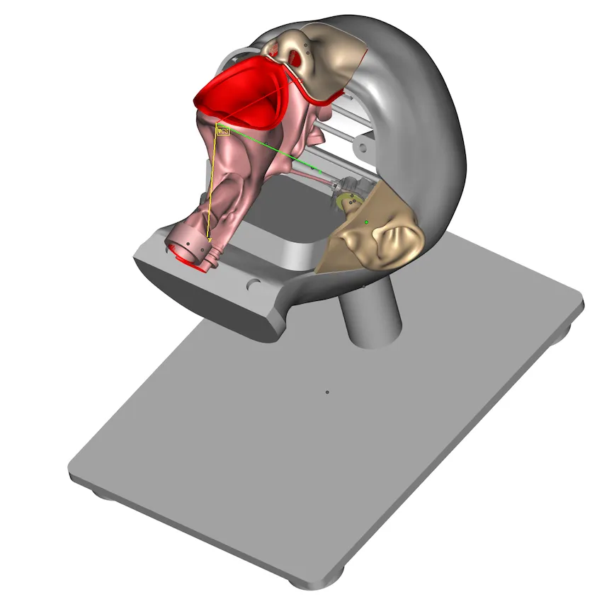 Drawing of ENT Endoscopy Training Model