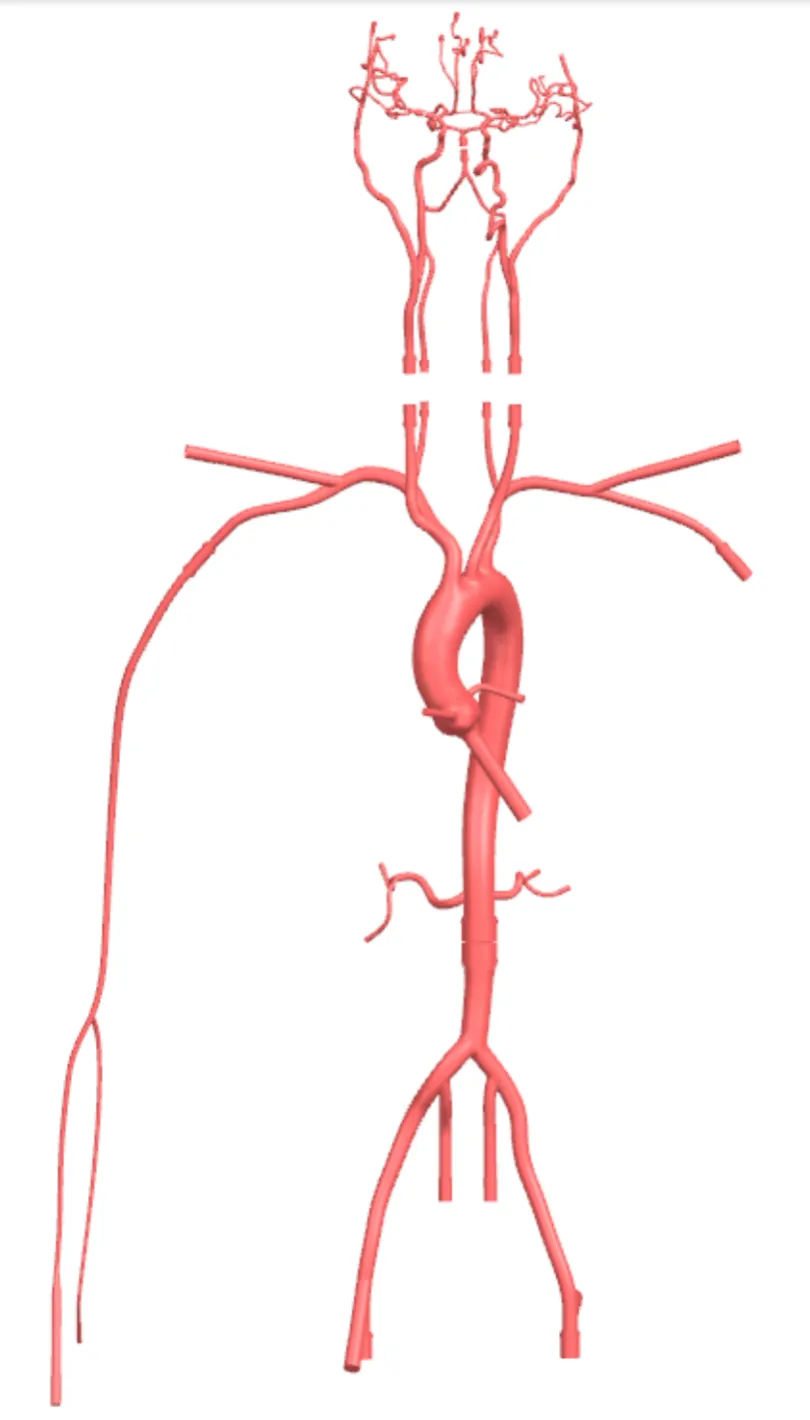 Drawing of Neurovascular Operation Training Model-Type B