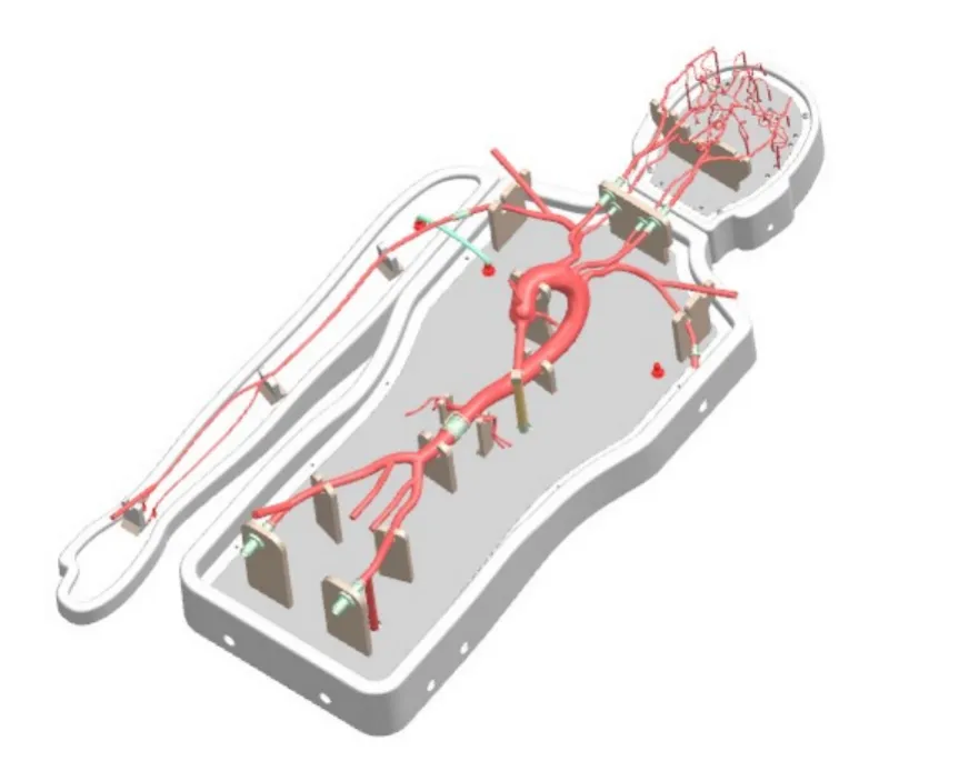 Drawing of Neurovascular Operation Training Model-Type B