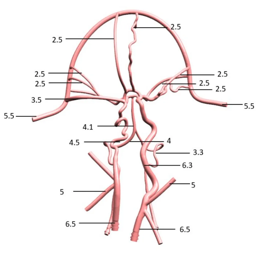 Drawing of Neurovascular Operation Training Model-Type C
