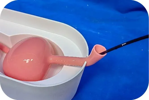 FAQ on Portable Urinary System Model (Single Kidney + Bladder)