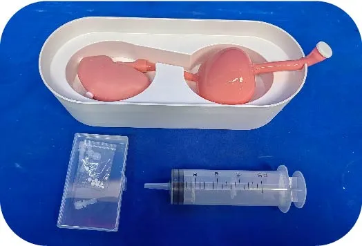 FAQ on Portable Urinary System Model (Single Kidney + Bladder)