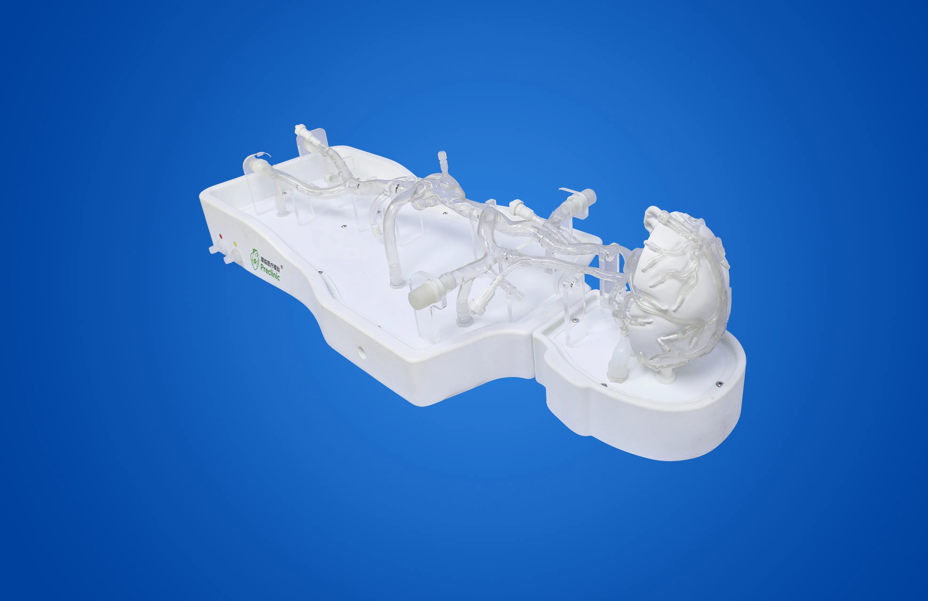 Intracranial-Femoral Operation Vein Model