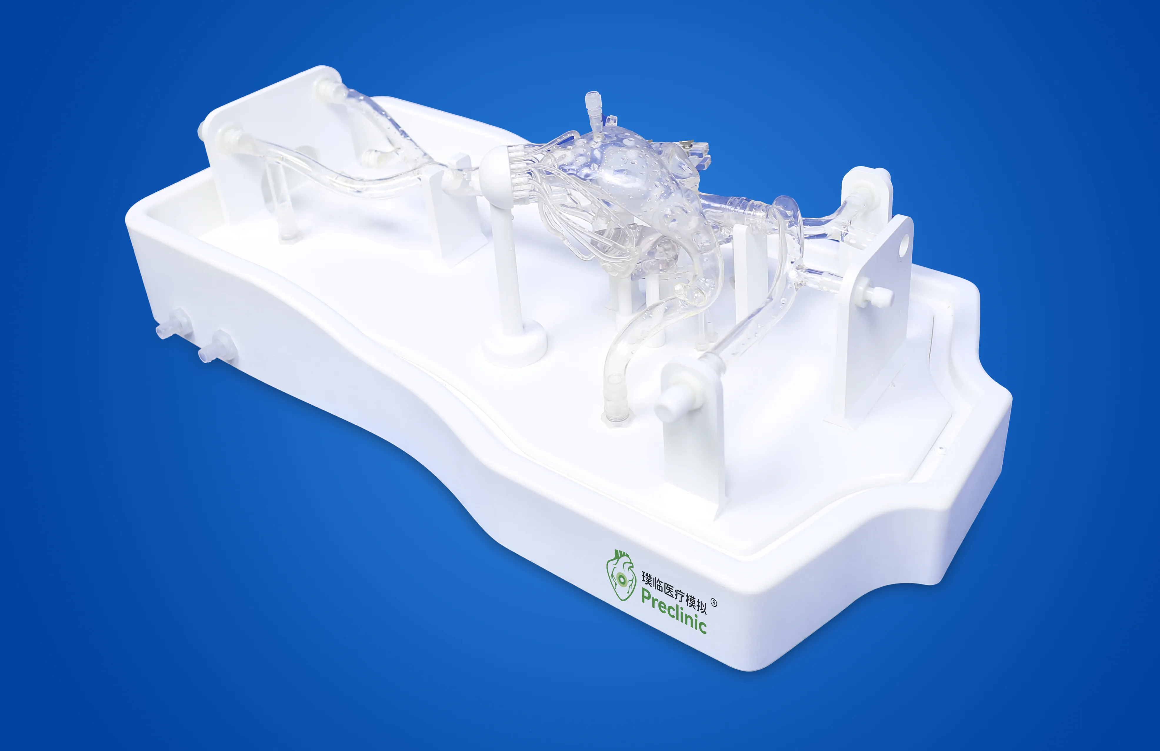 Cardiac Veins Simulation Model Pacemaker Electrode Implantation ...