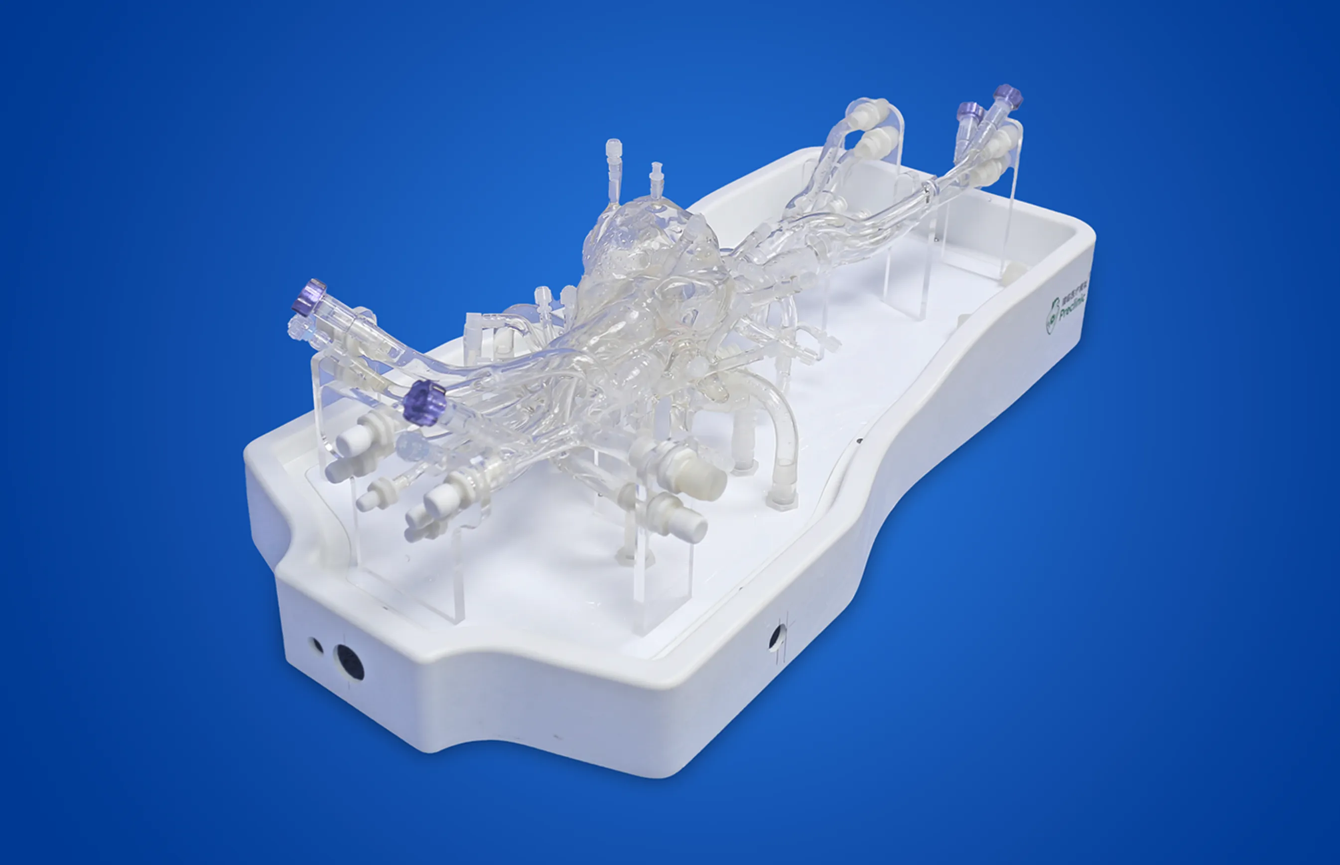Cardiac Training Model - Type B, Heart Surgeon Simulator | Preclinic ...