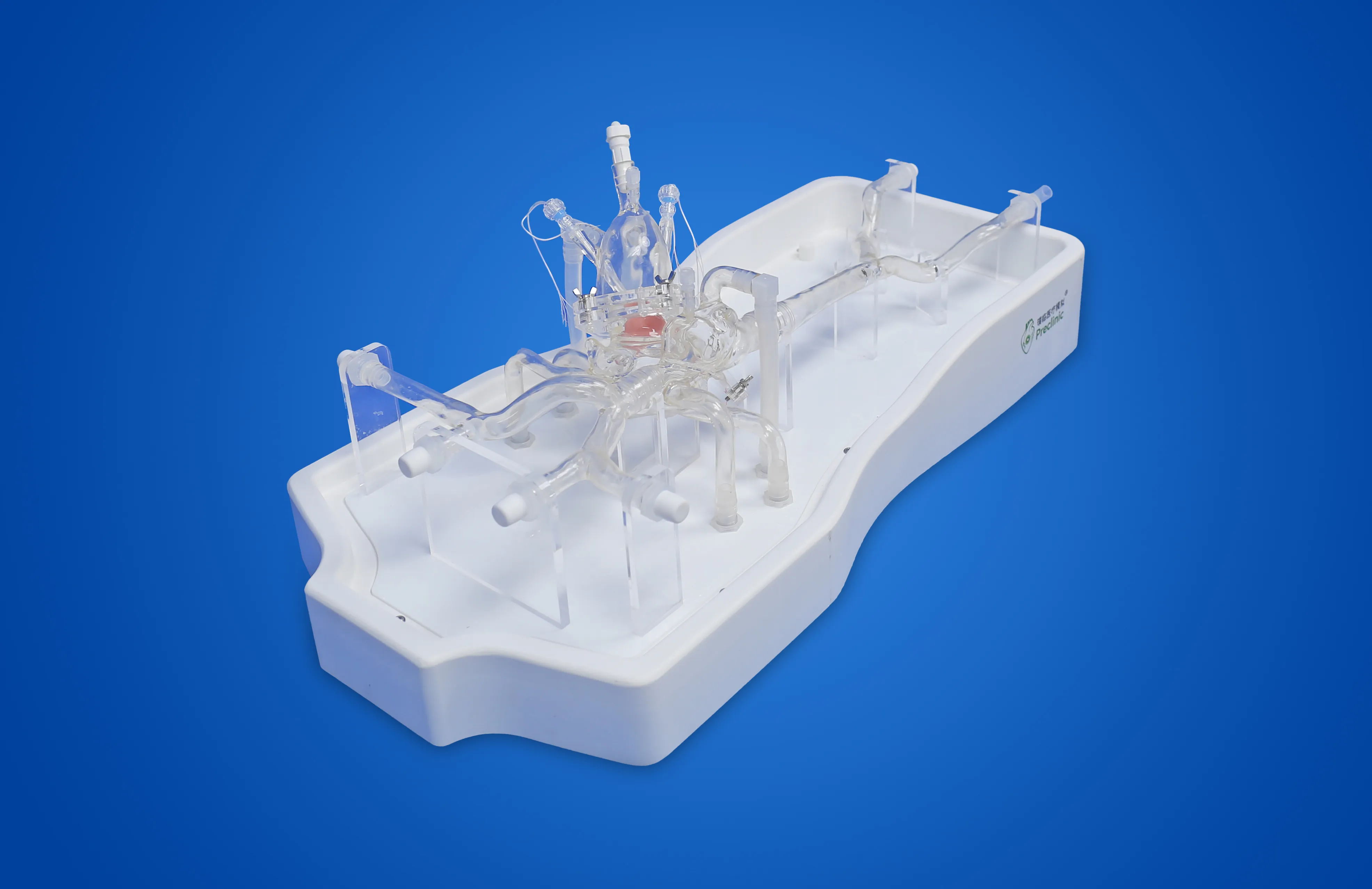 Transseptal Puncture Vessel Model - Type B Manufacturer | Preclinic Medtech