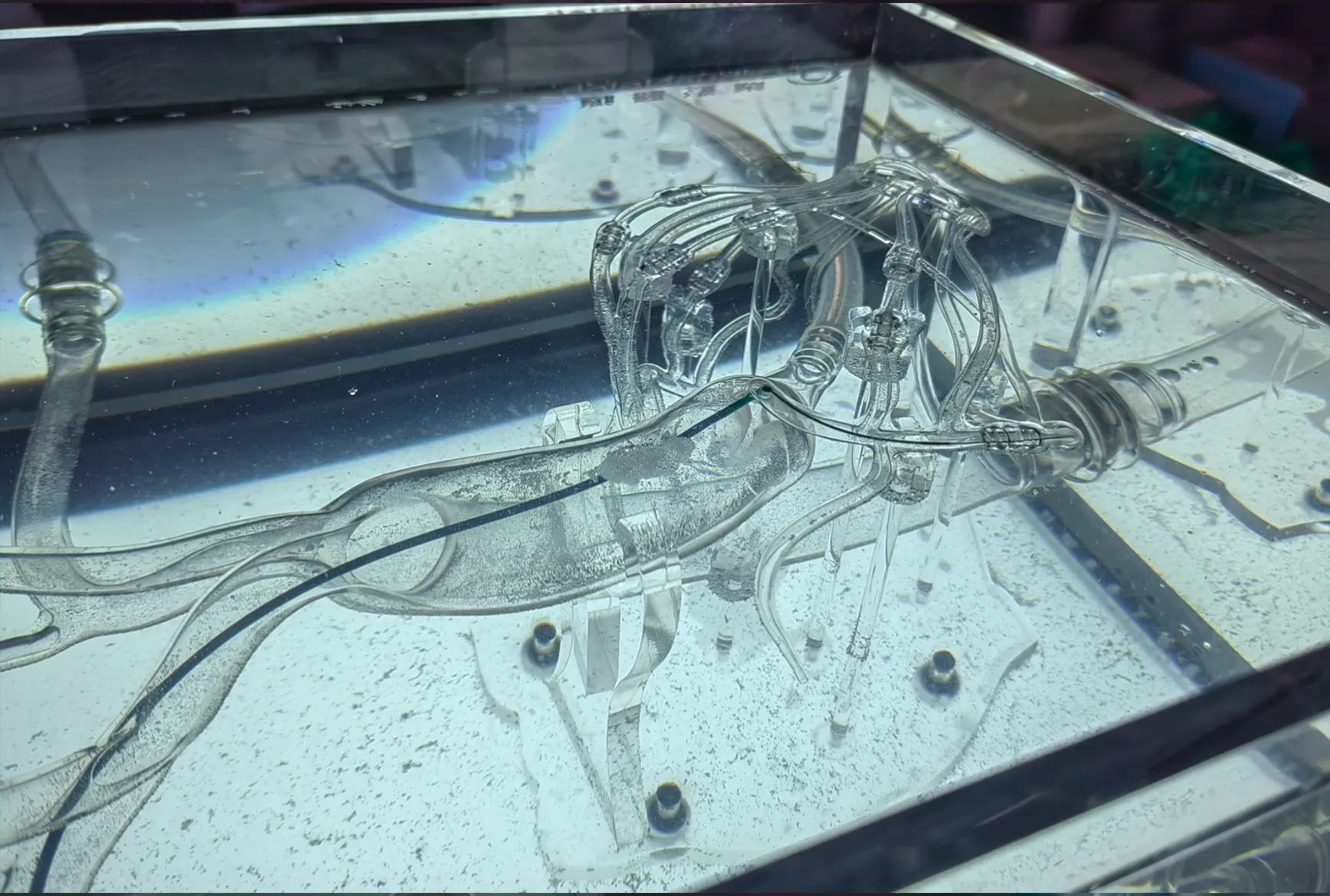 FAQ On Drawing of Coronary Training Model - C（Immersion version）