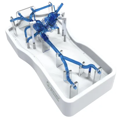 Drawing of Atrial septal puncture operation training model-B