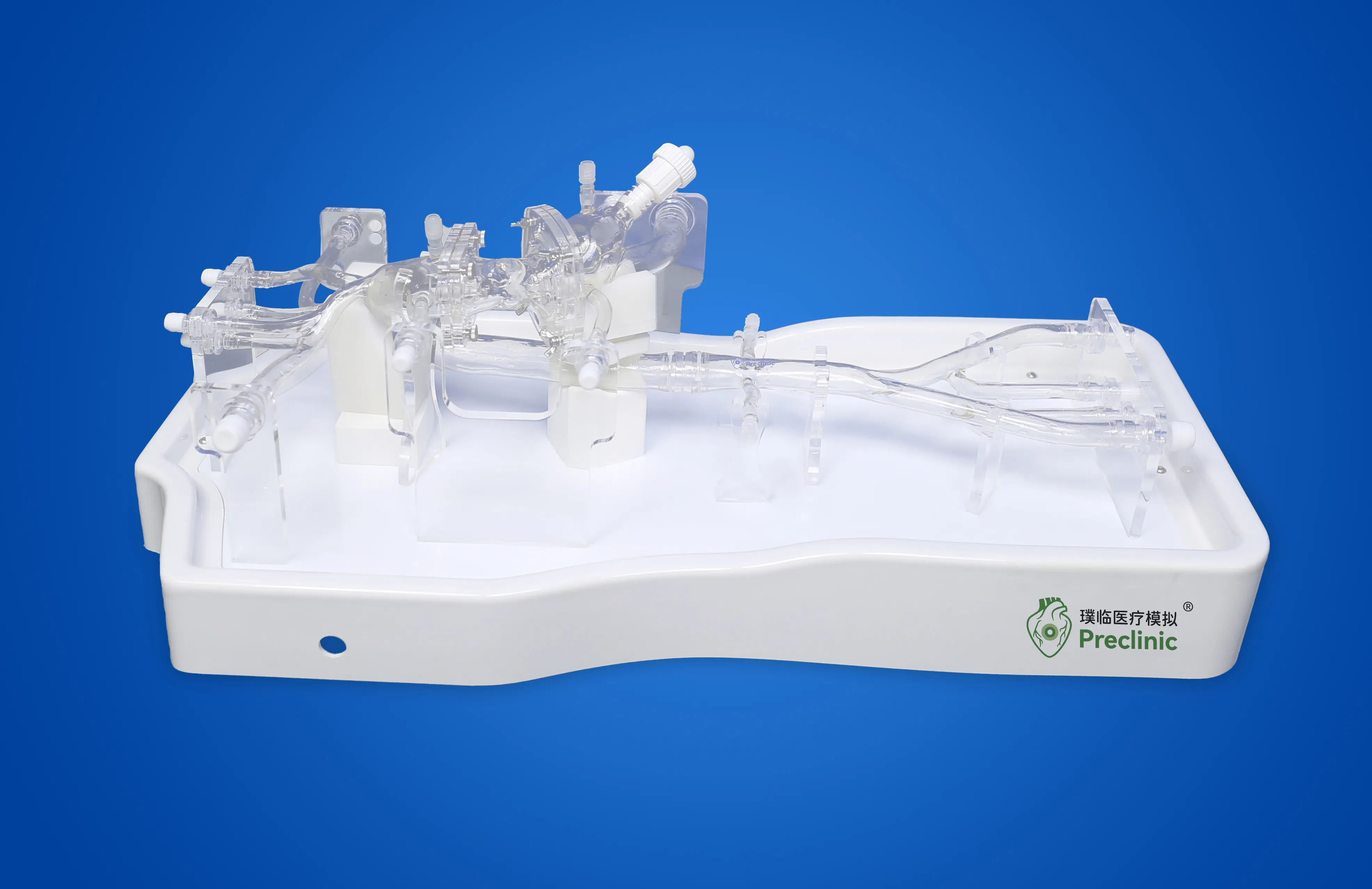 TAVR Simulation Model