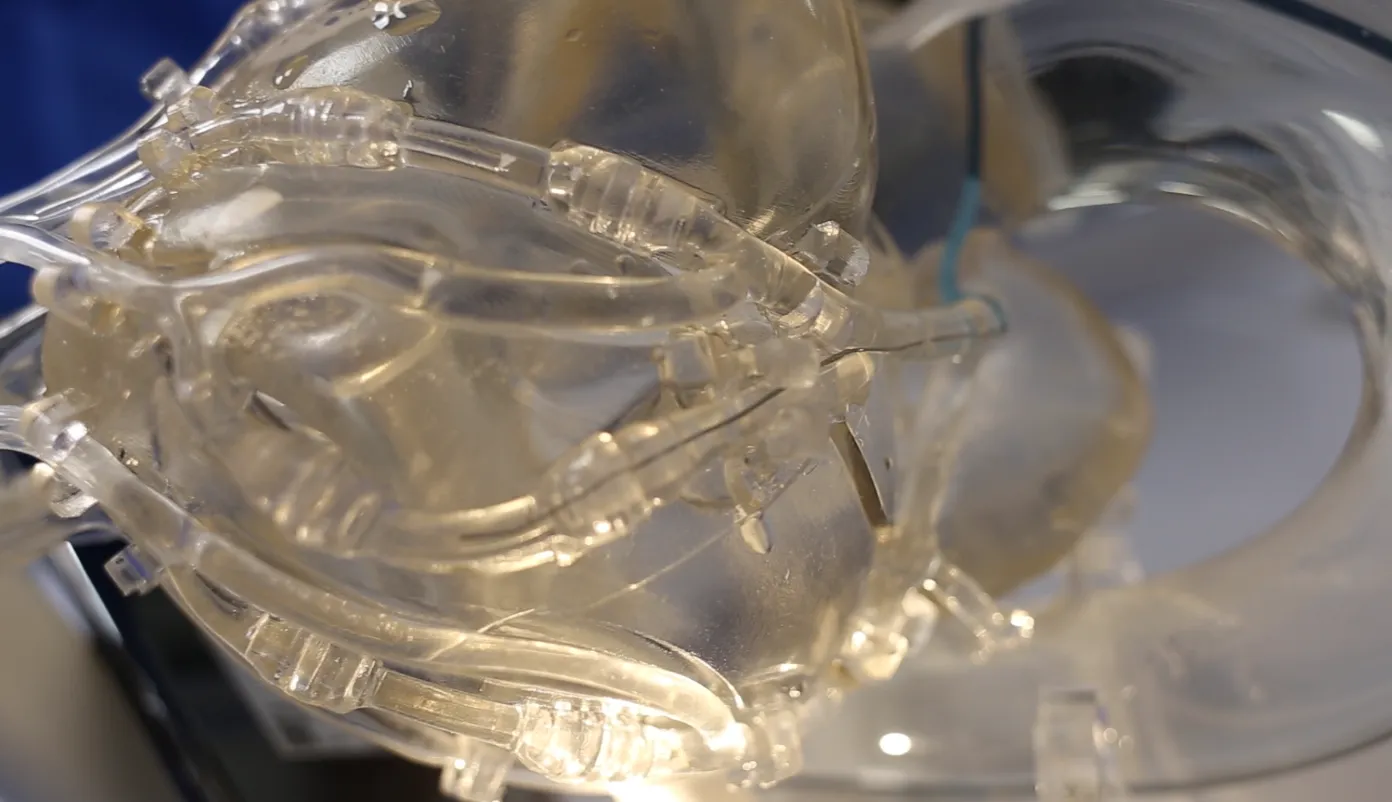 FAQ On Drawing of Coronary Training Model -B（Pulse version）