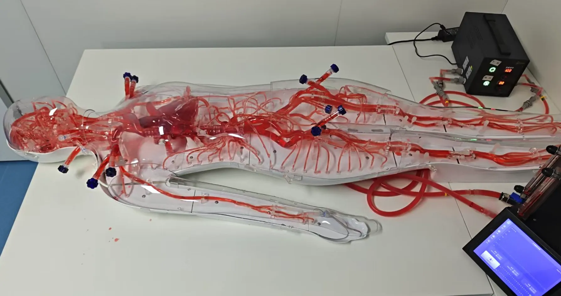 FAQ On Full Body Models