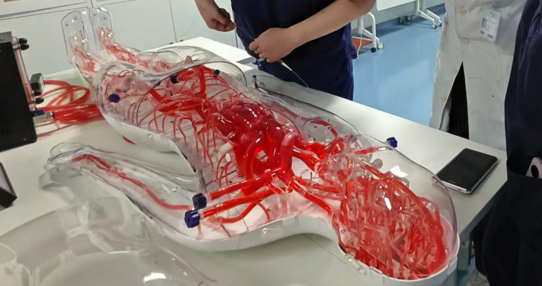 FAQ On Full Body Models