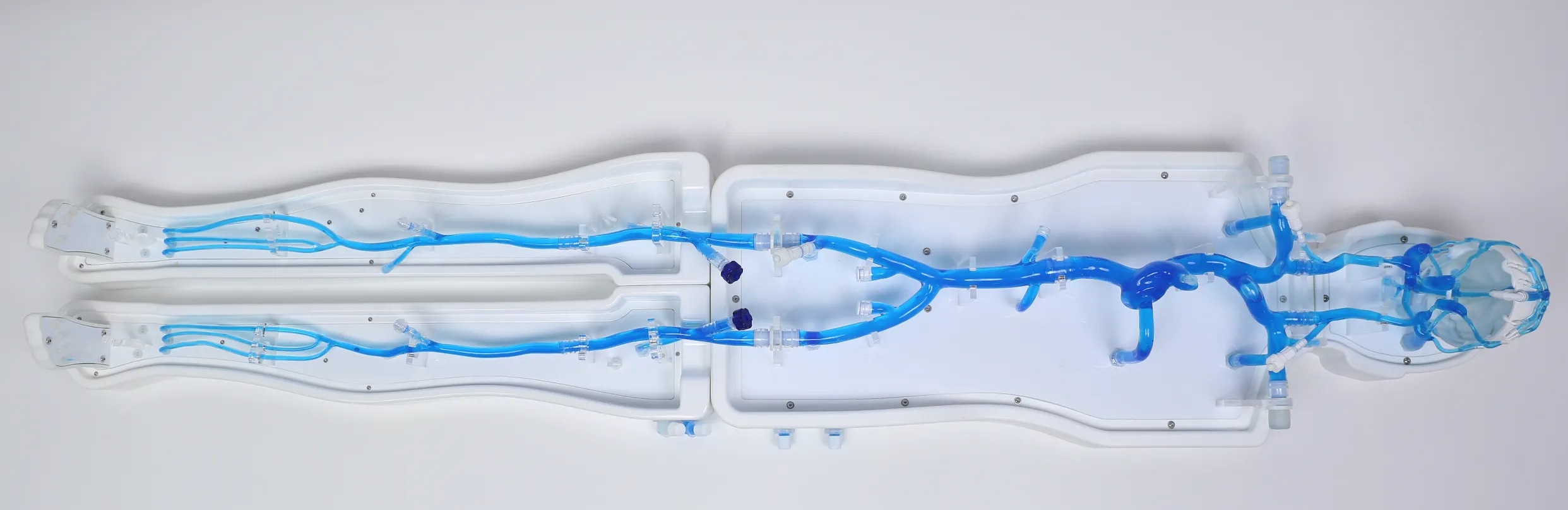 FAQ On Modular whole-body vascular model