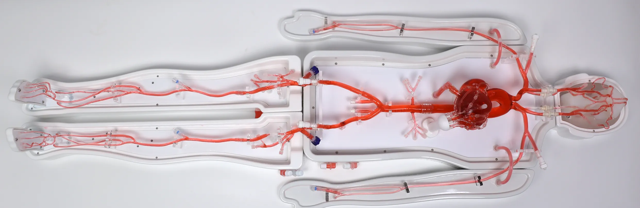 FAQ On Modular whole-body vascular model