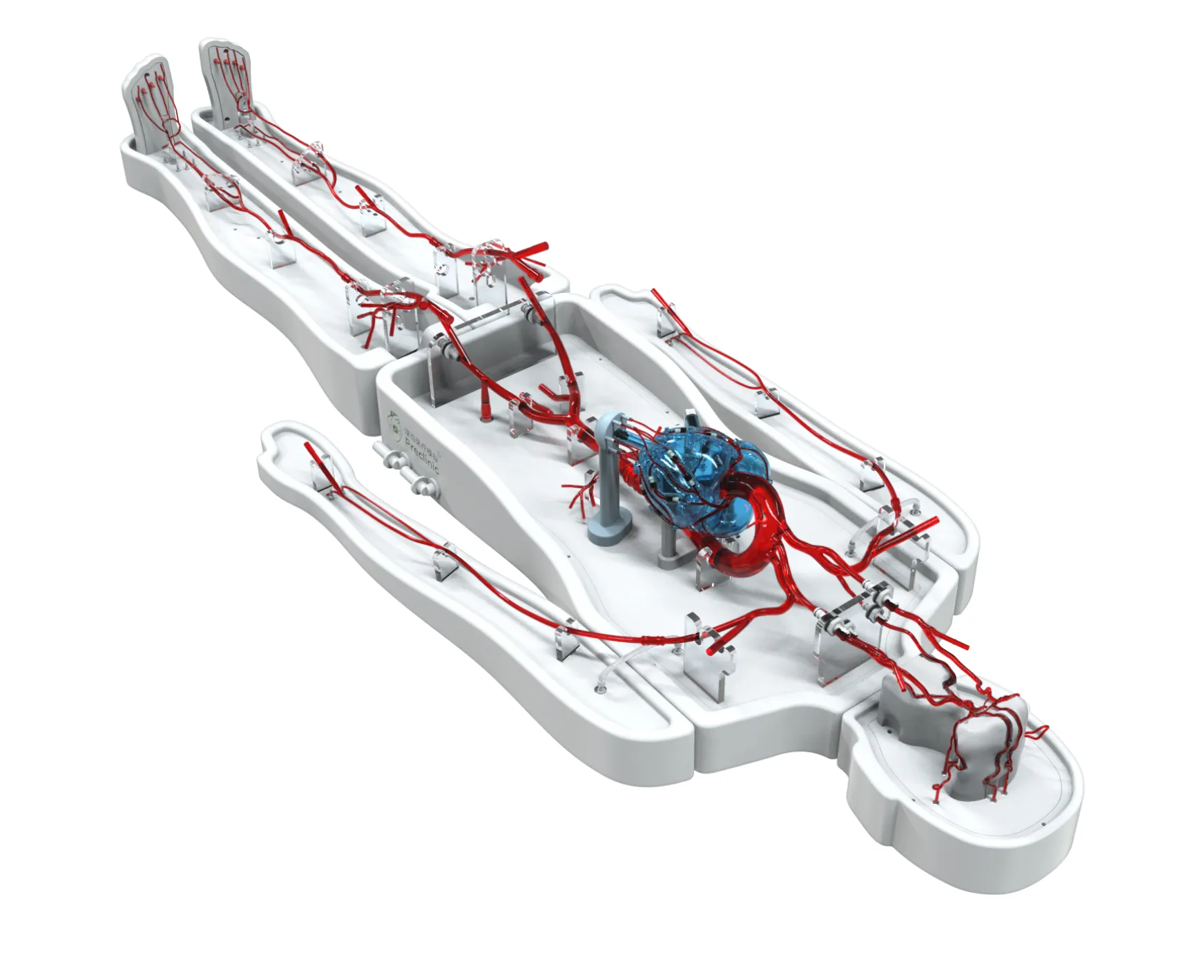 Drawing of Modular whole-body vascular model