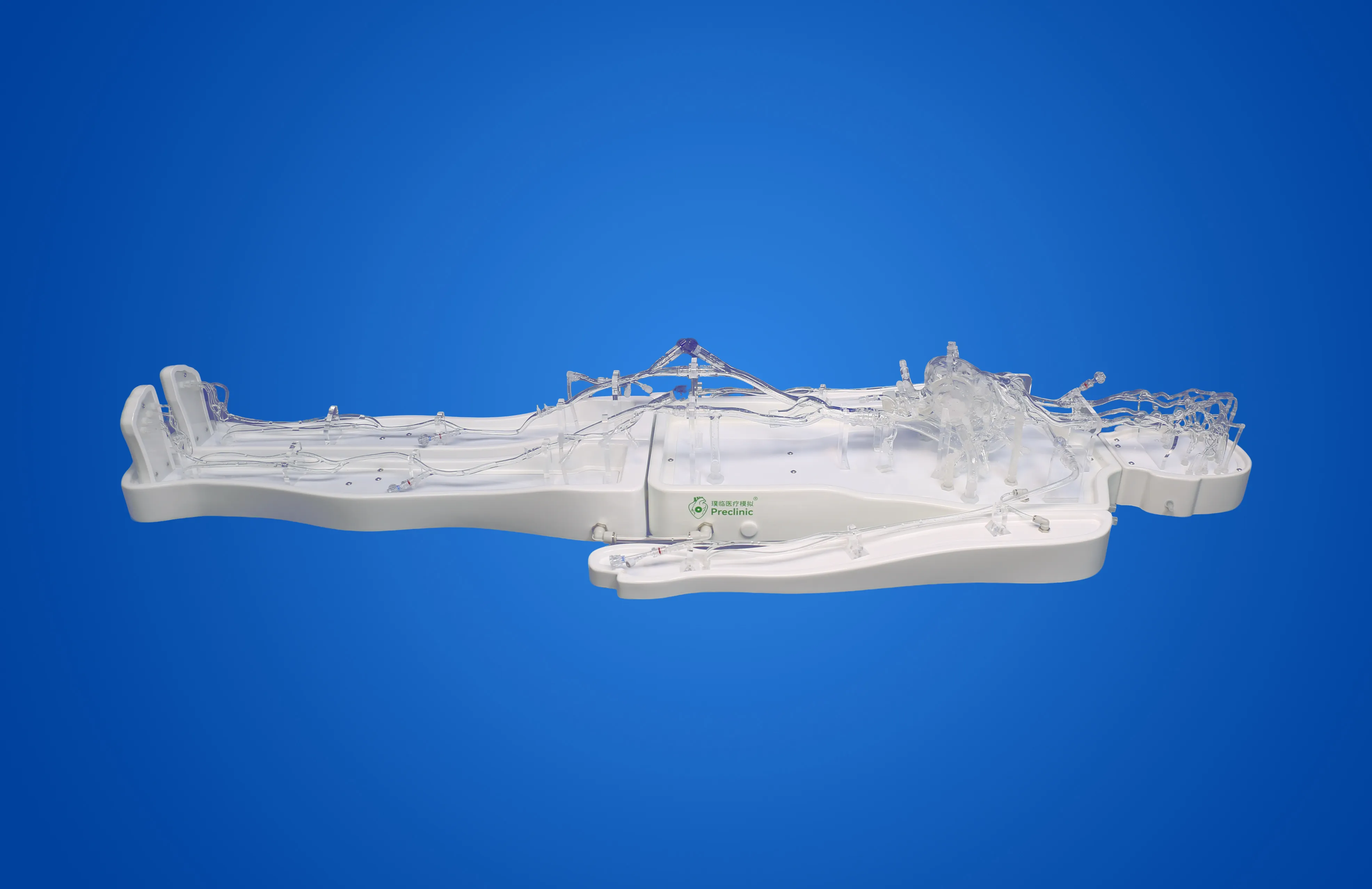 模块化全身血管02