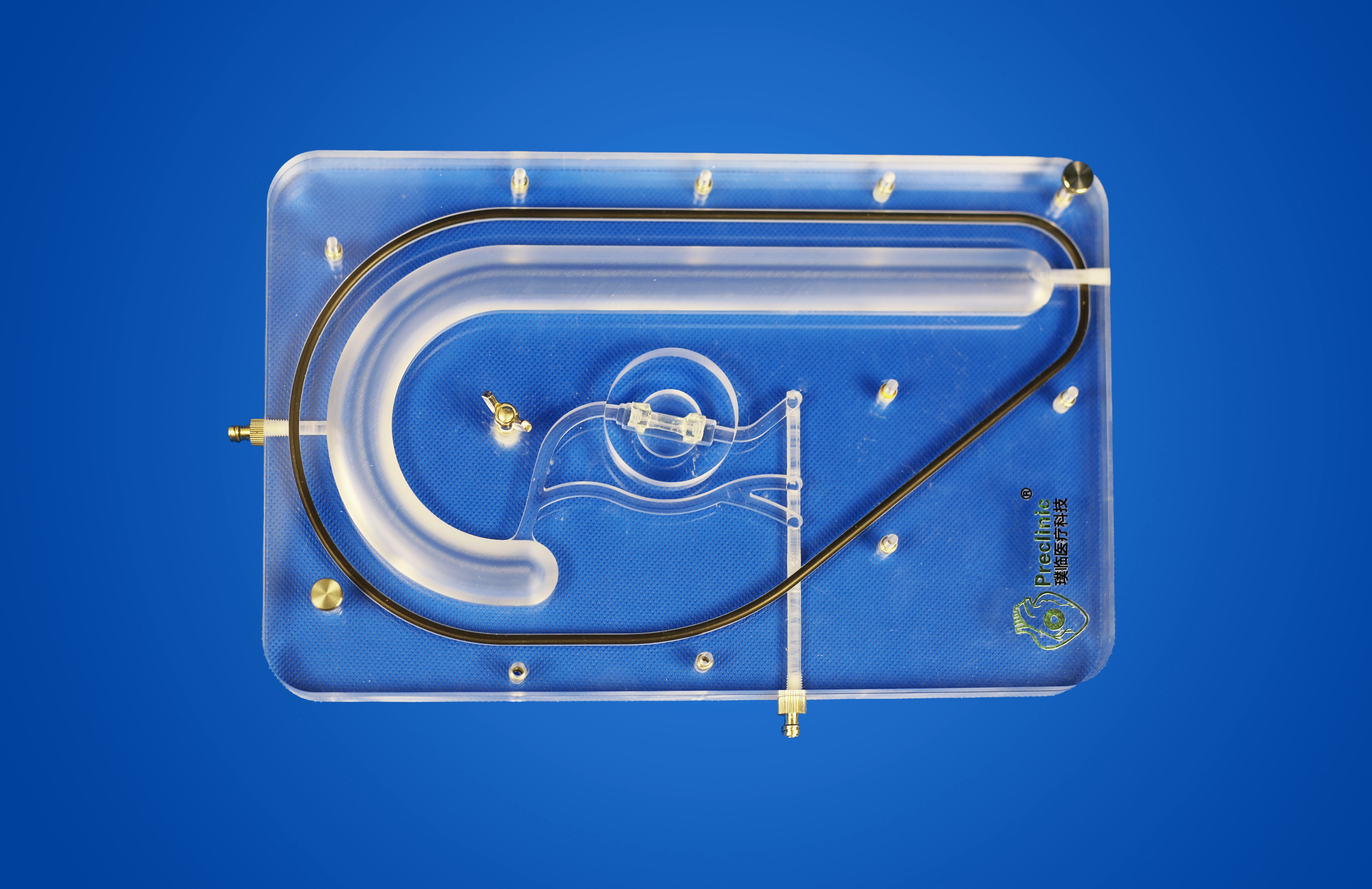 Planar Left Coronary Vessel Model (Aortic Approach)