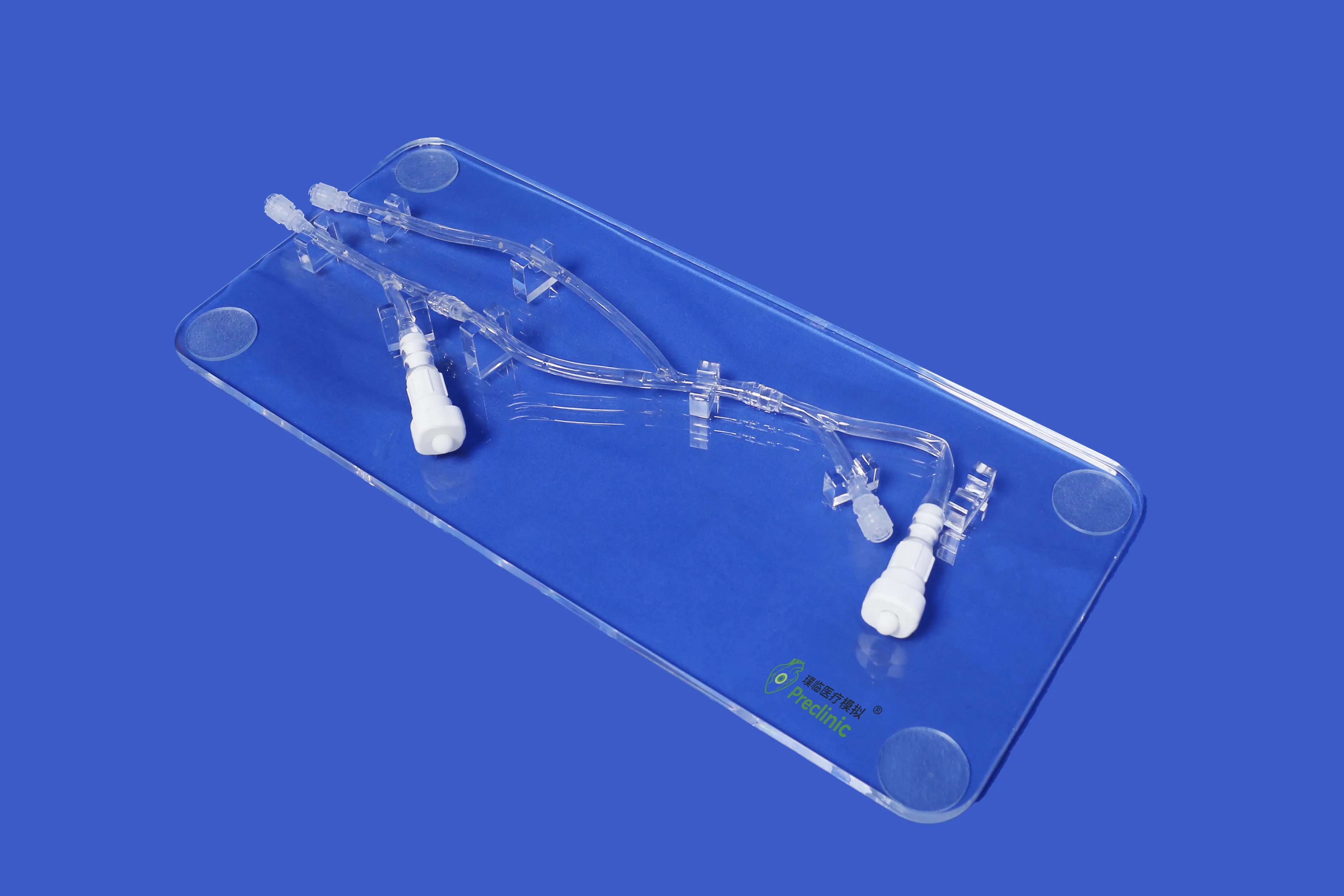 Upper Limb Arteriovenous Fistula Model