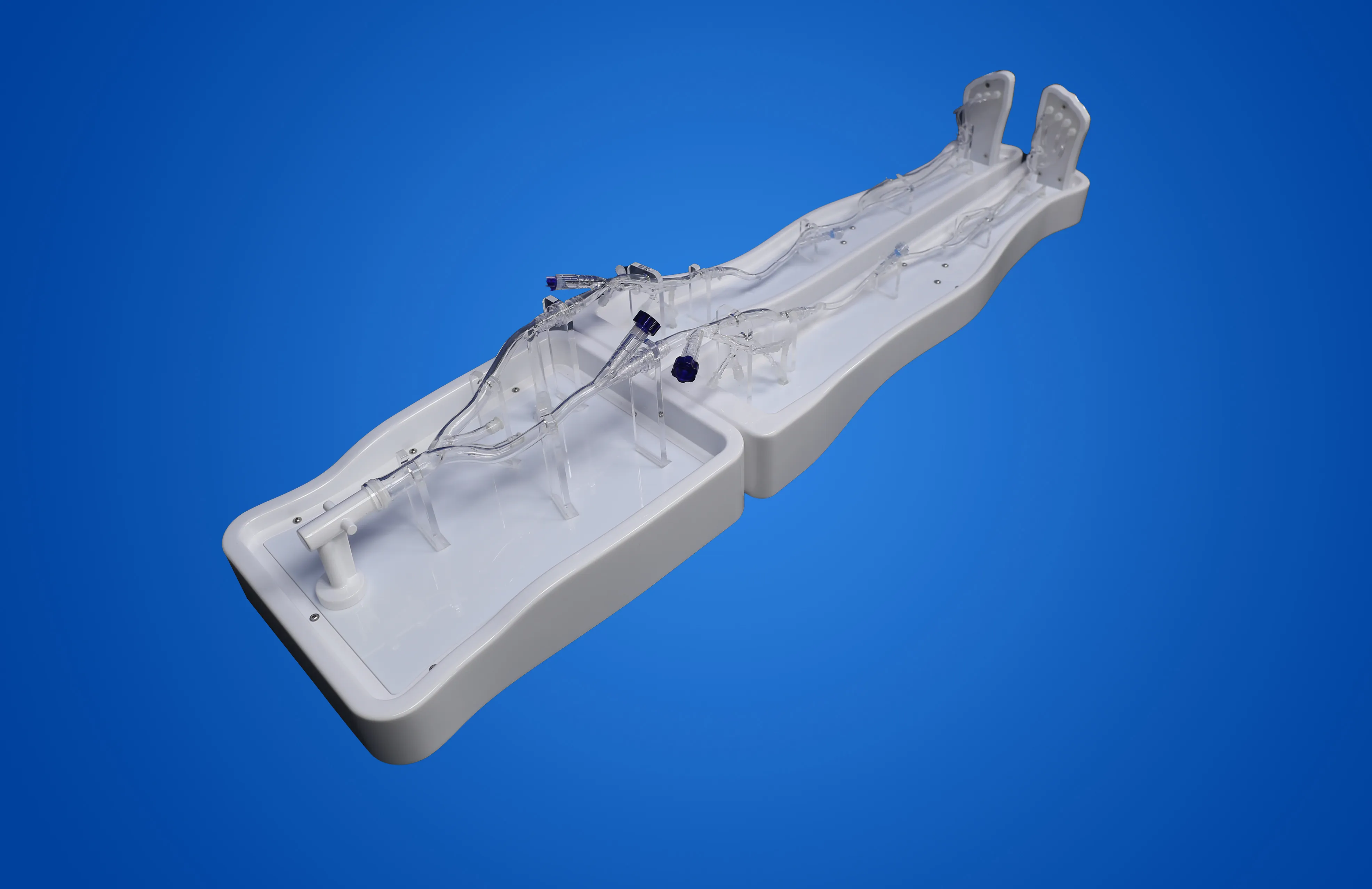 Lower Extremity Artery Simulation Model