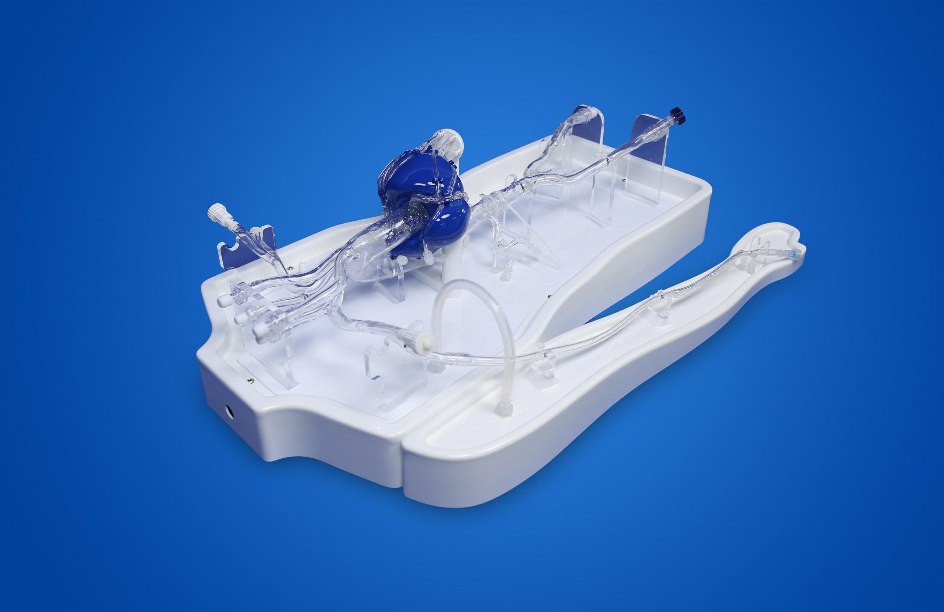 best_coronary_artery_simulation_model_for_PCI_training_and_medical_education.jpg