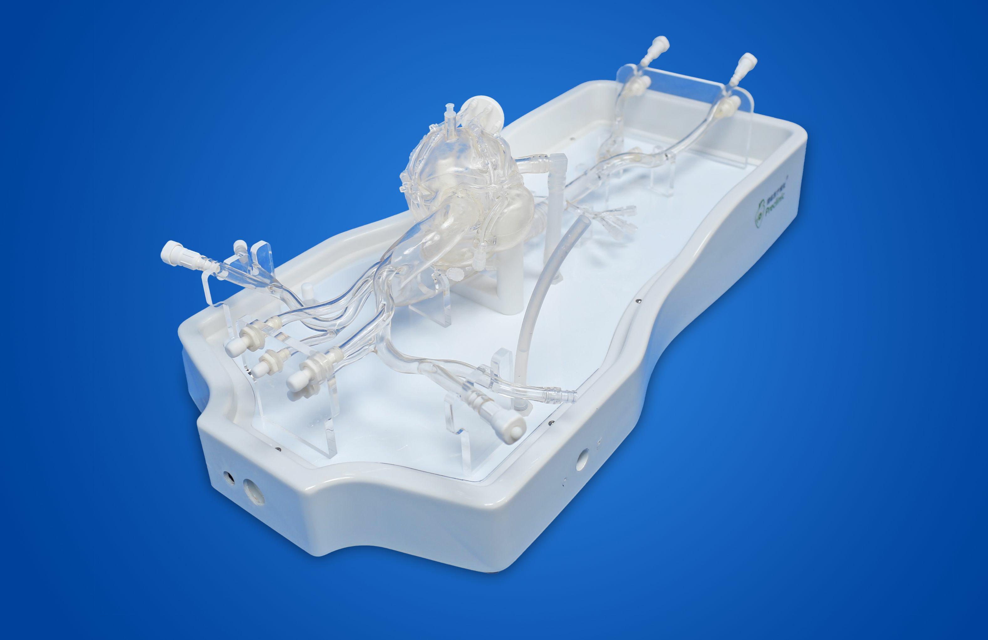 coronary_angiography_simulator_for_hands-on_PCI_and_catheter_training.jpg