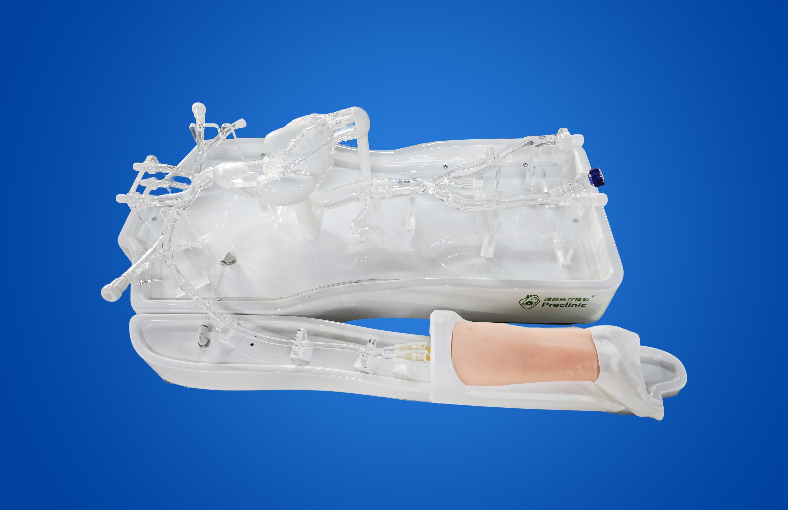 coronary_artery_simulation_model_for_PCI_training_and_interventional_cardiology_education.png