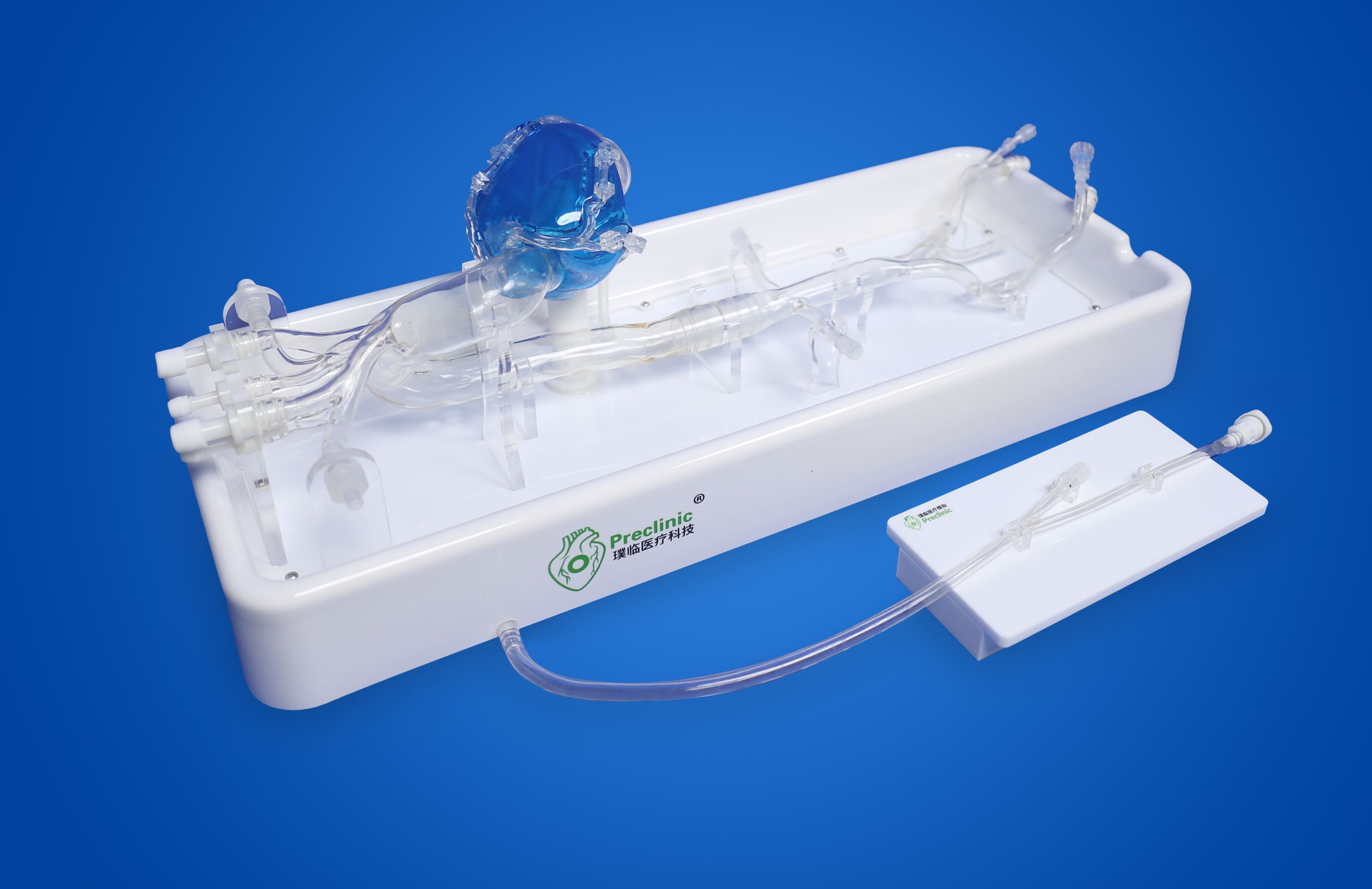vascular_simulation_model_for_clinical_education_and_coronary_intervention_training.png