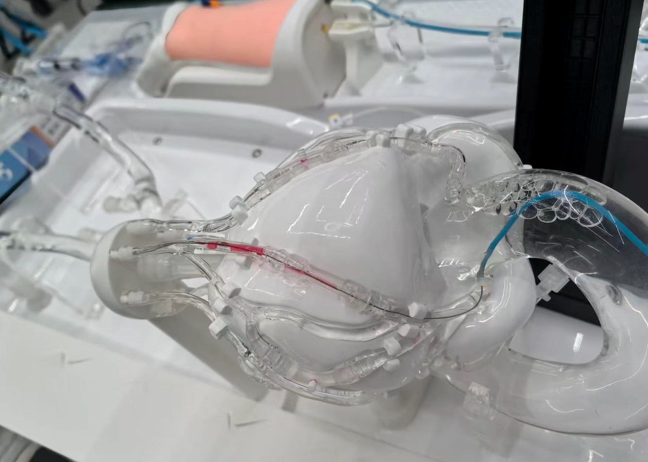 Coronary_simulation_model_for_PCI_training_and_medical_device_validation_in_cardiovascular_intervention_procedures.png Coronary_simulation_model_for_PCI_training_and_medical_device_validation_in_cardiovascular_intervention_procedures.png